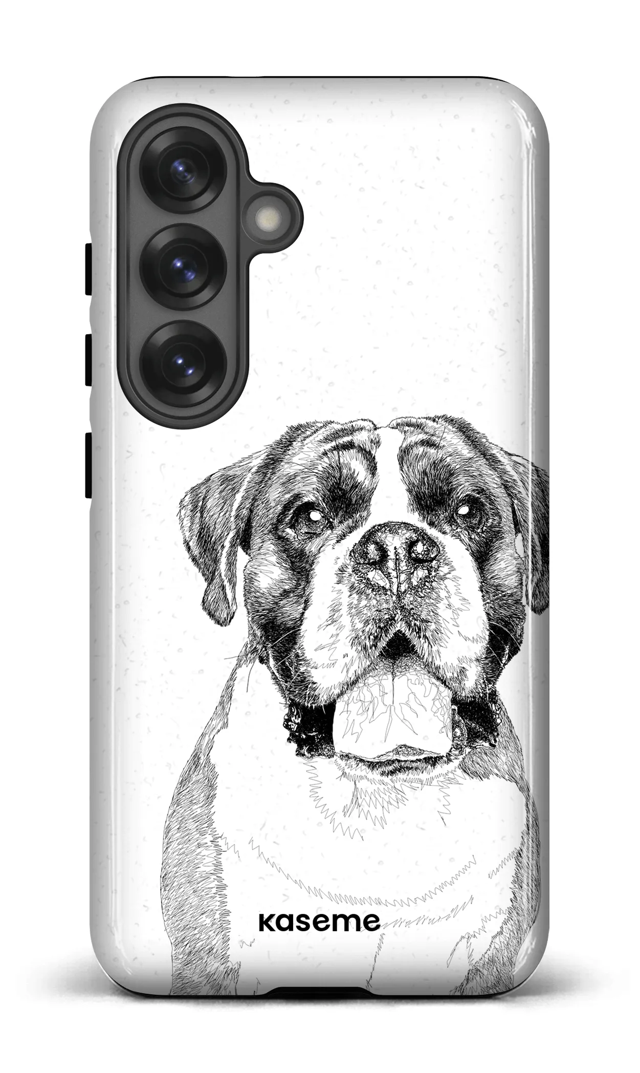 Boxer