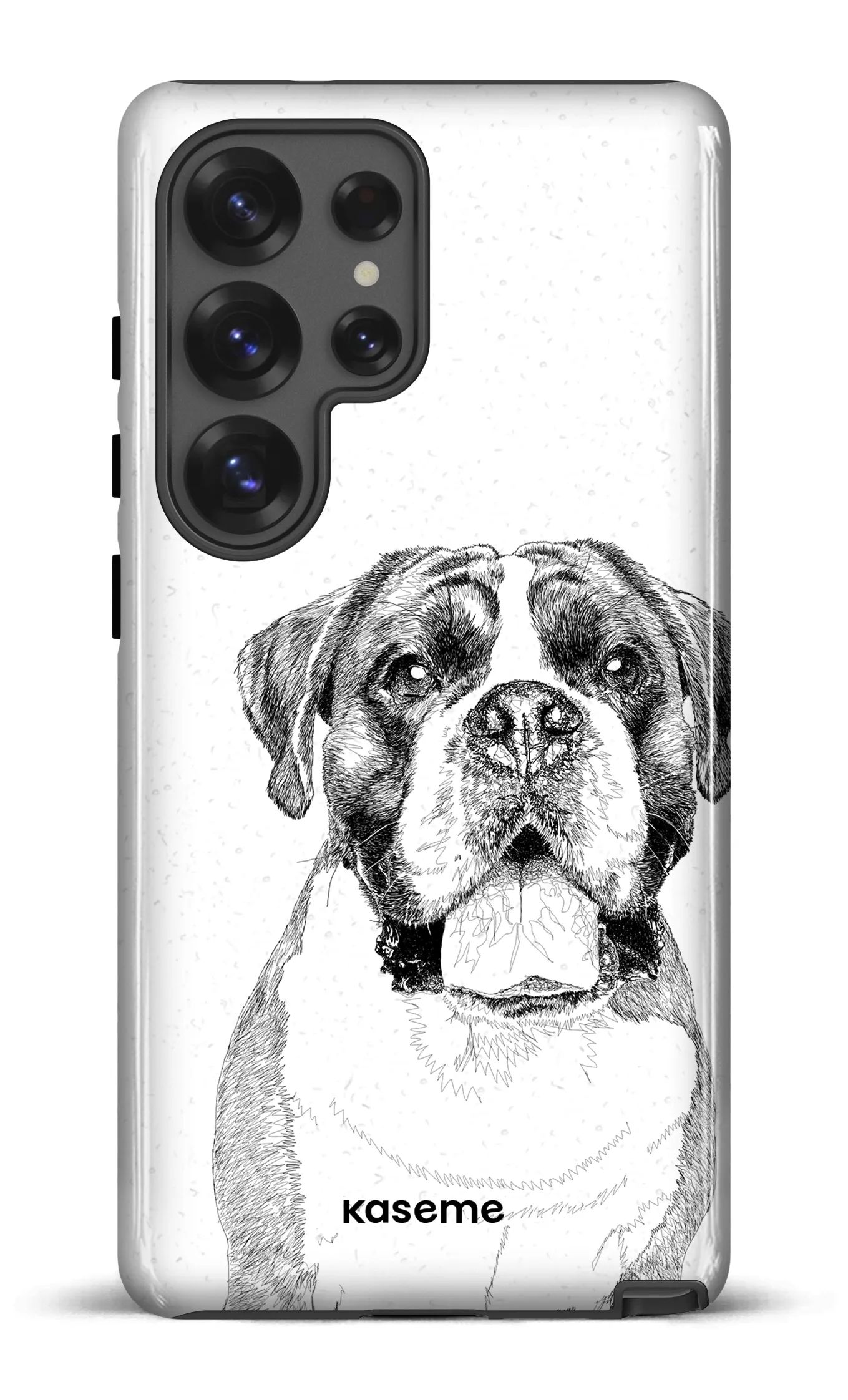 Boxer
