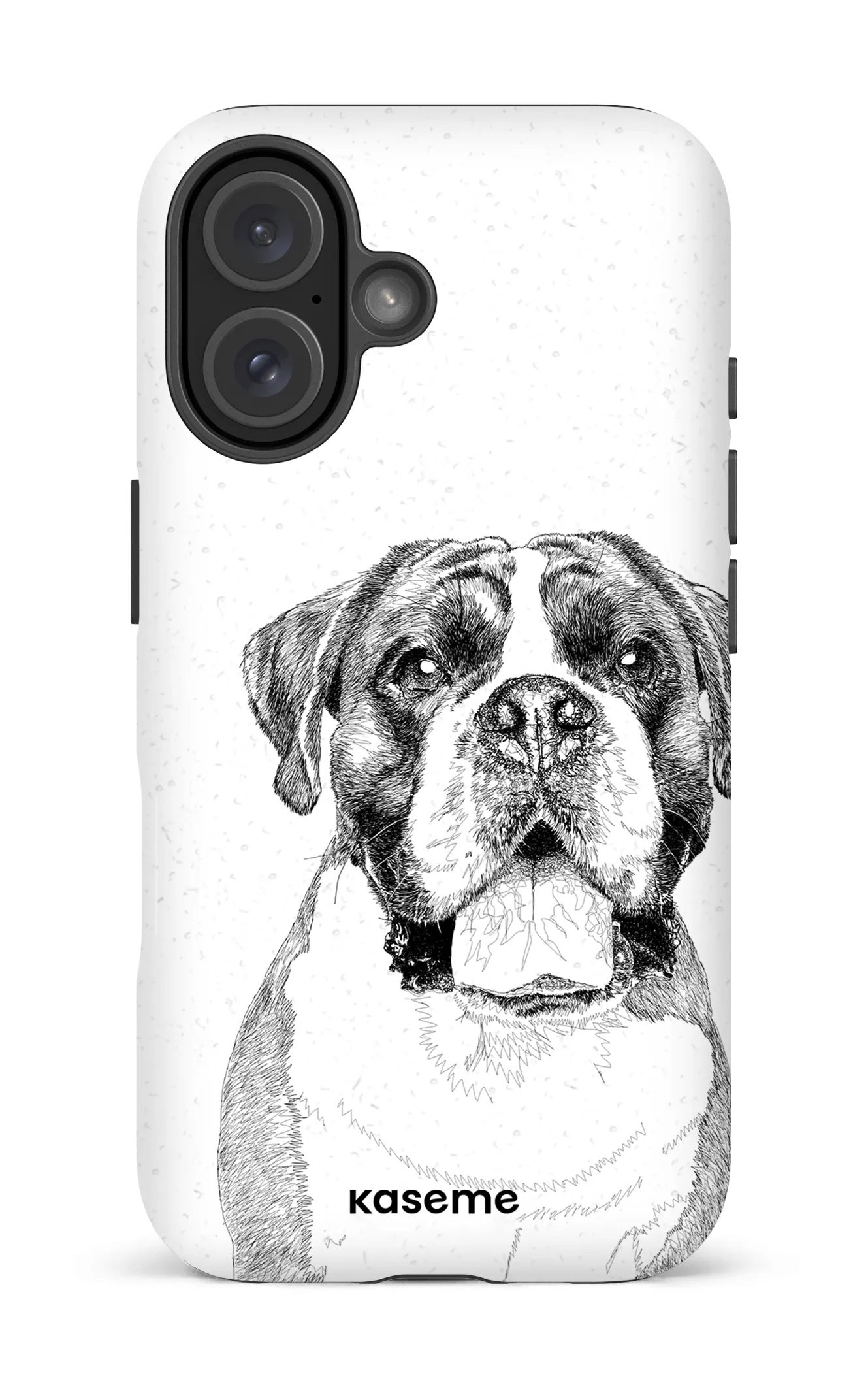 Boxer