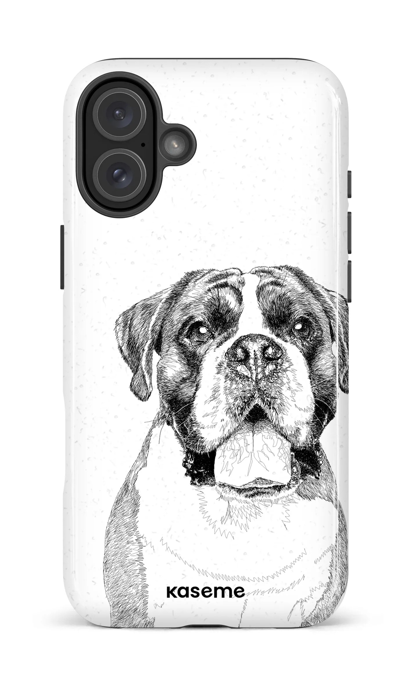 Boxer