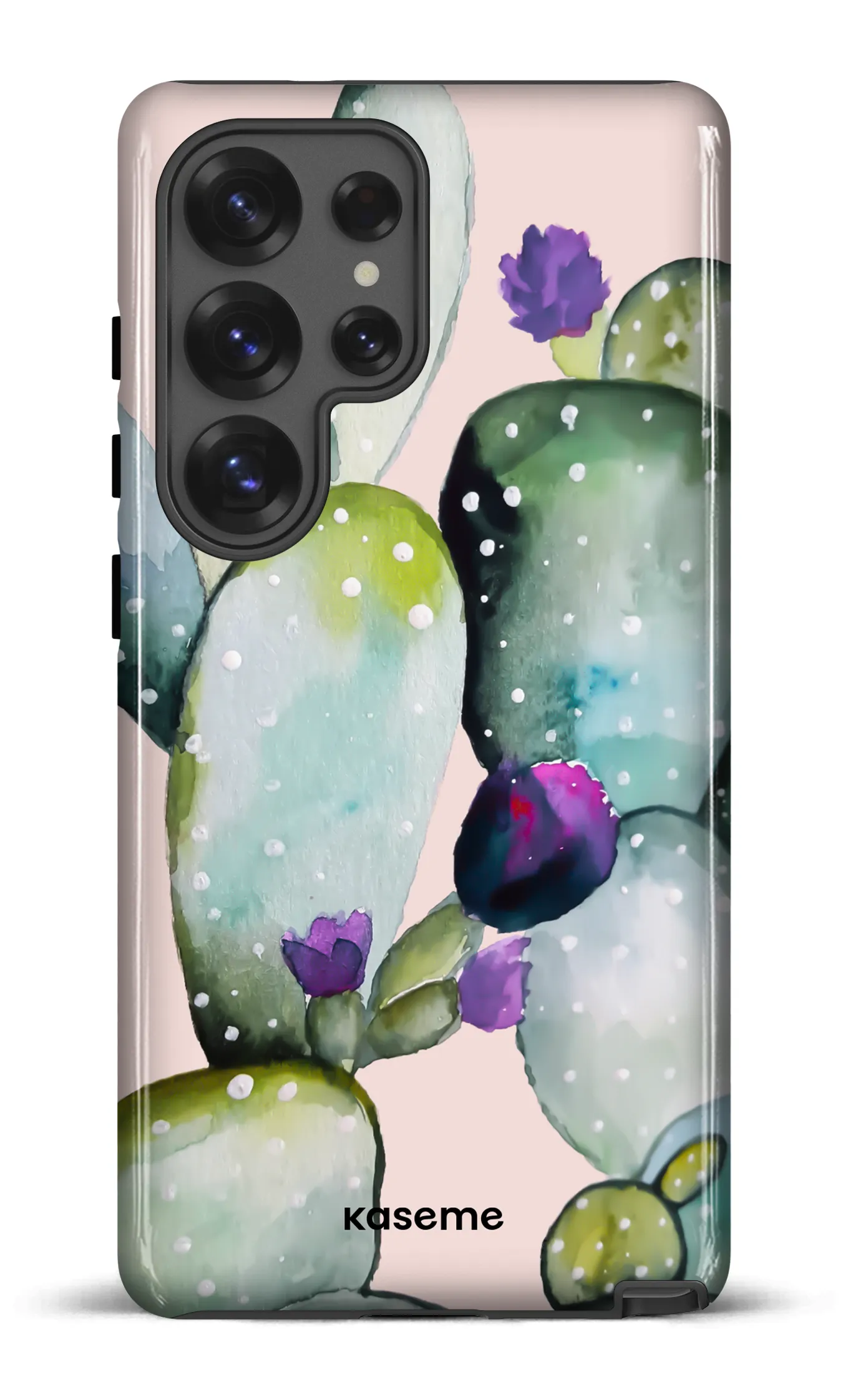 Cactus Flower