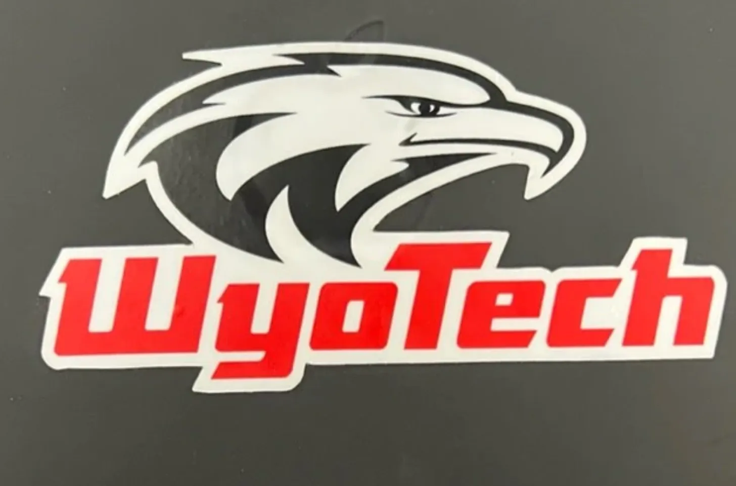 Eagle Stickers