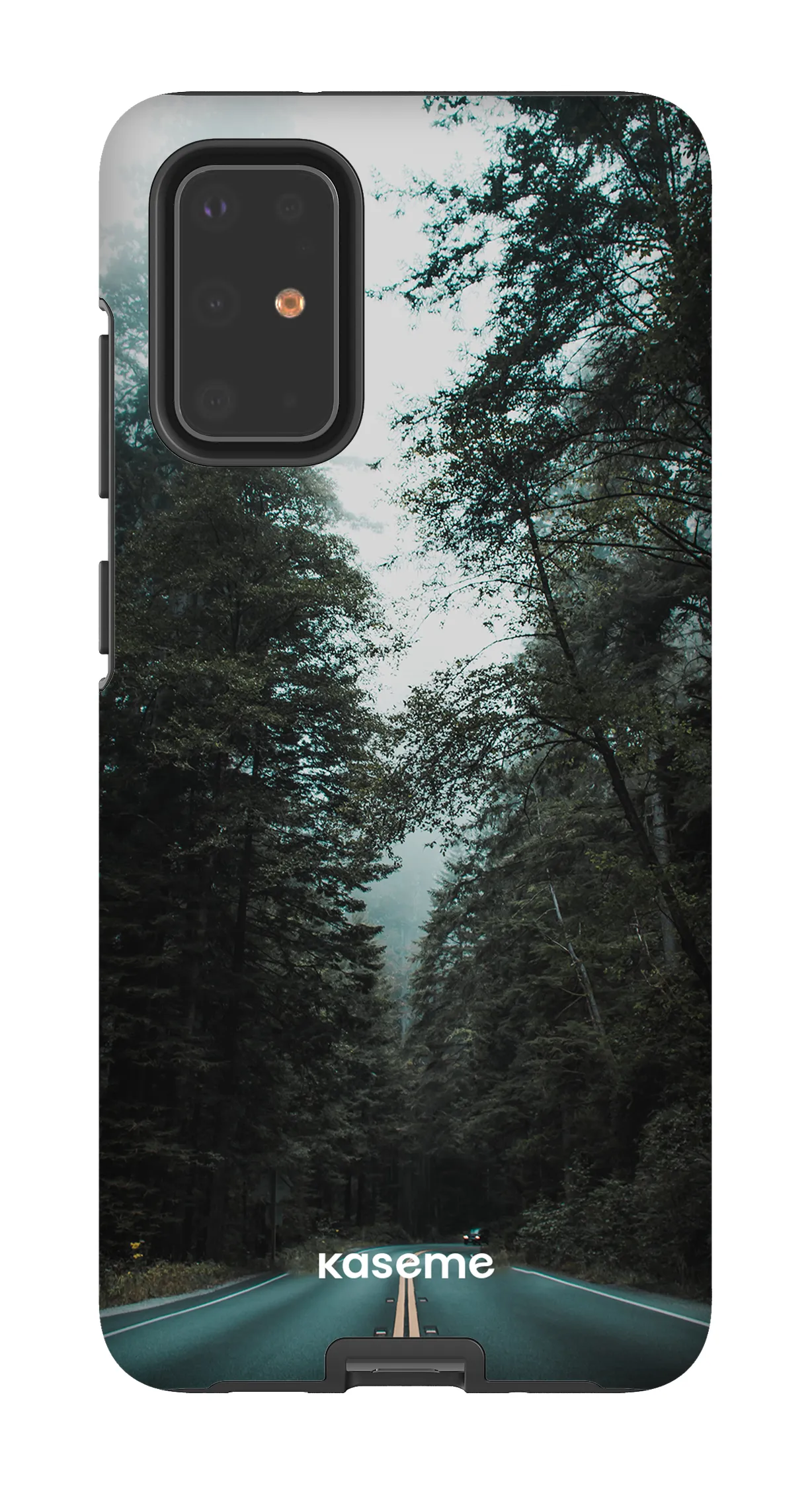 Sequoia