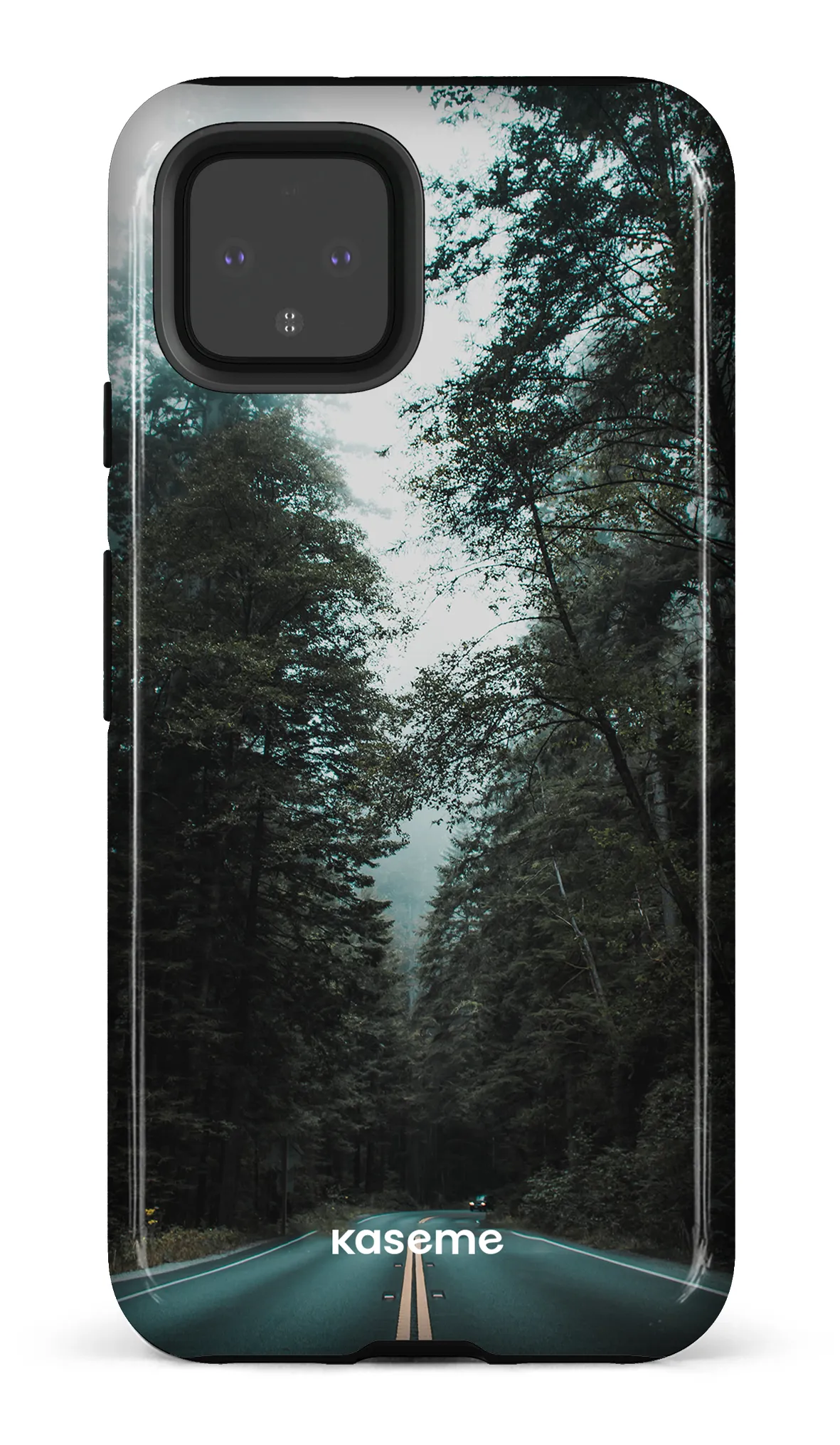 Sequoia