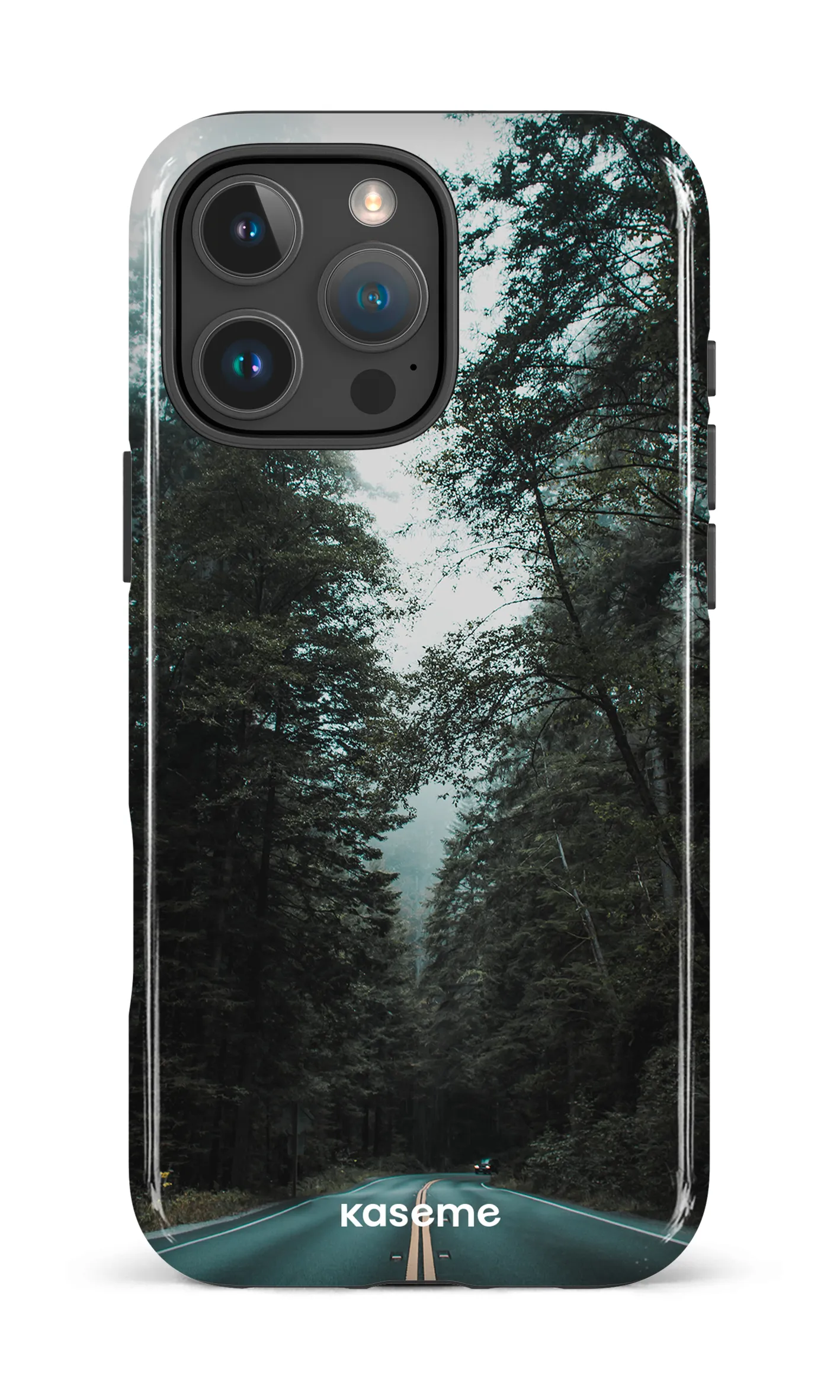 Sequoia