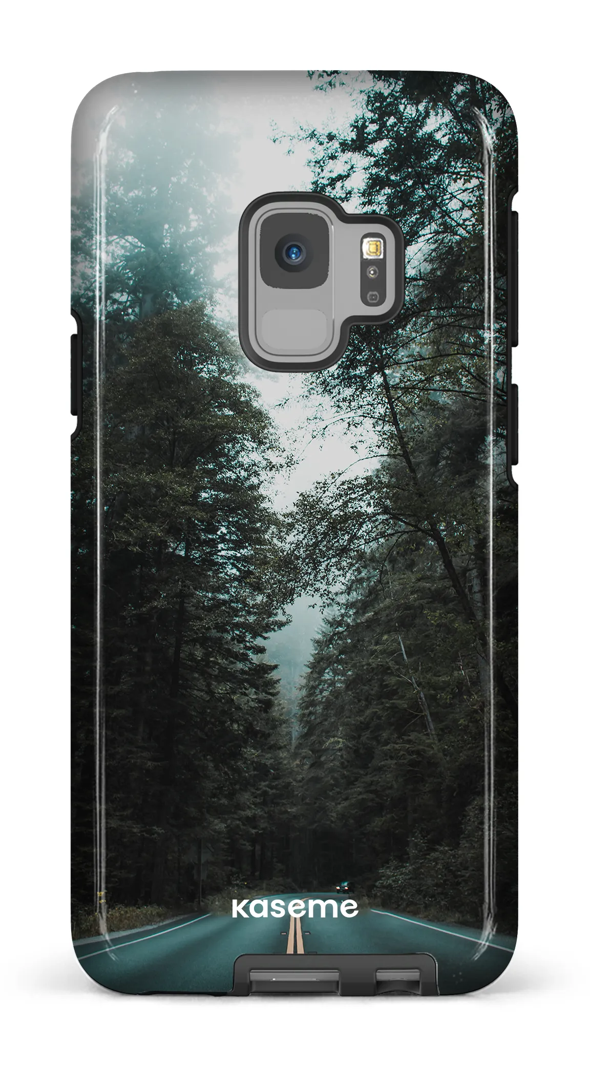 Sequoia