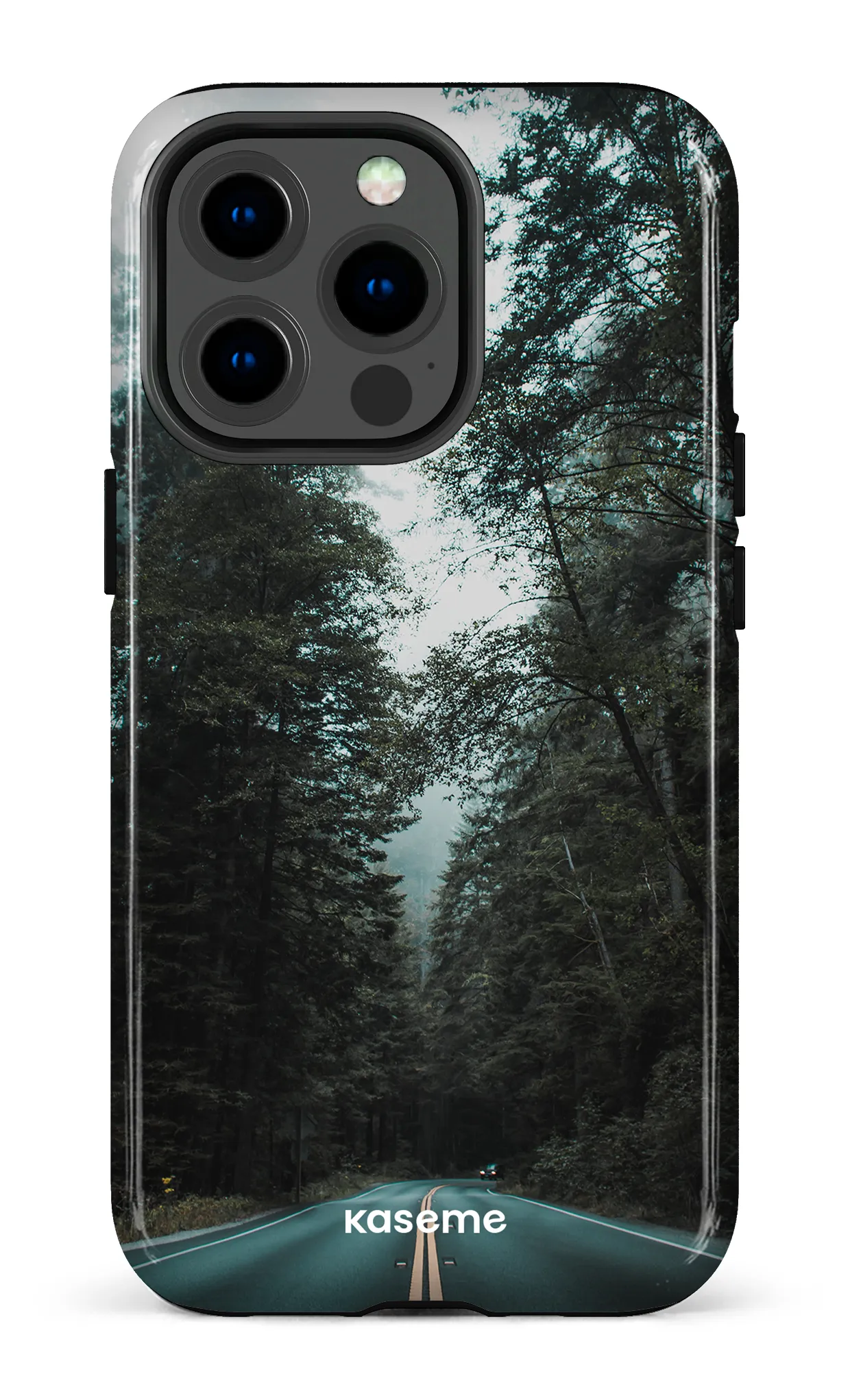 Sequoia