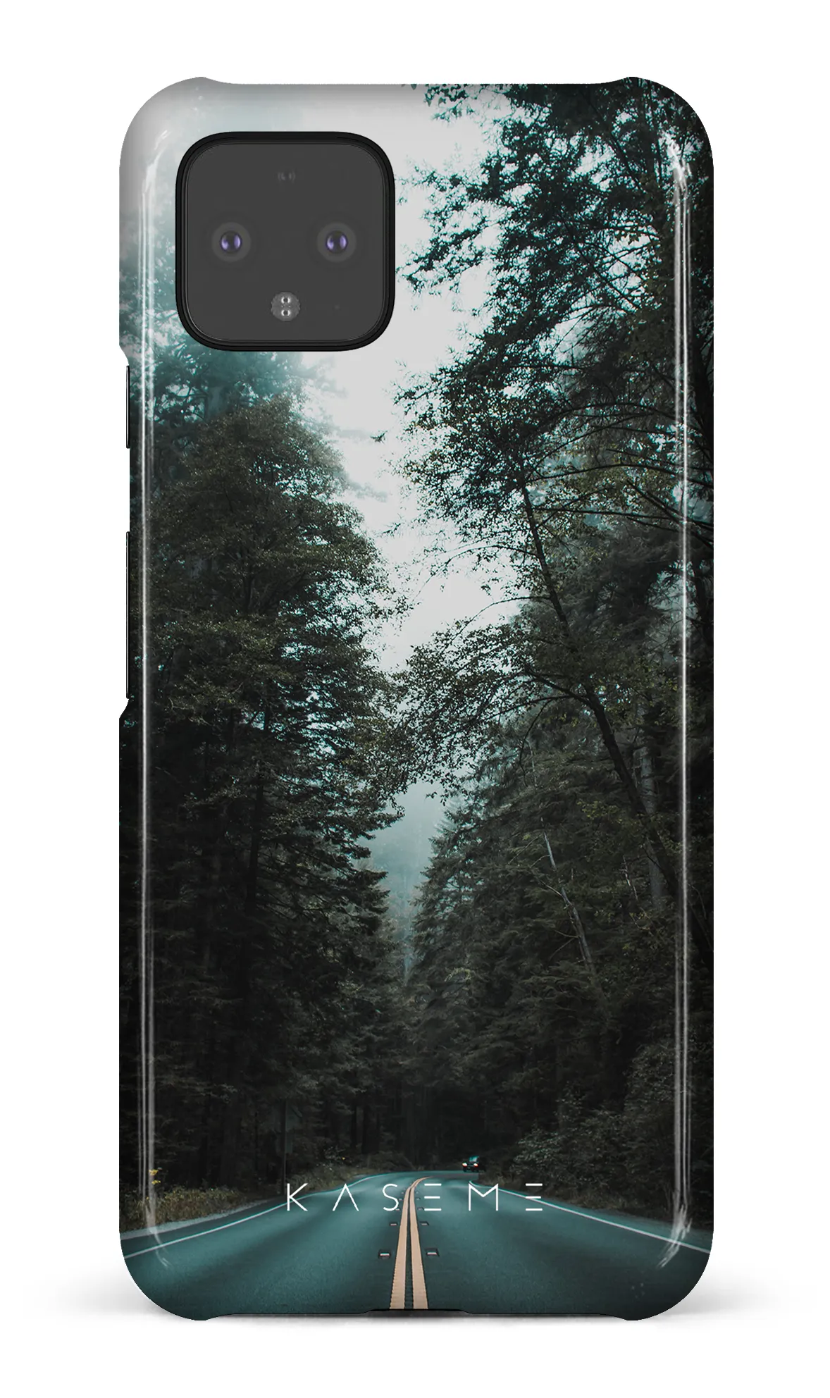 Sequoia