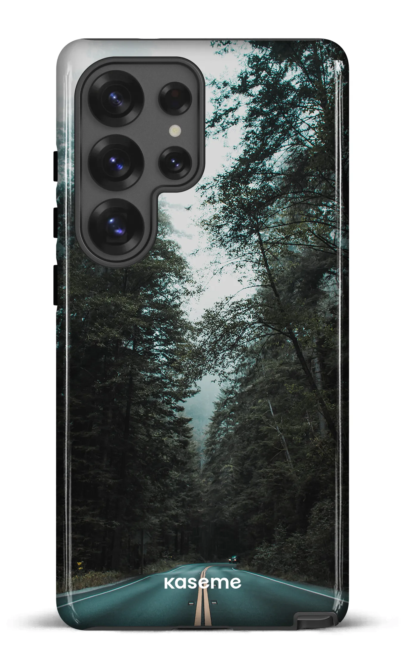Sequoia