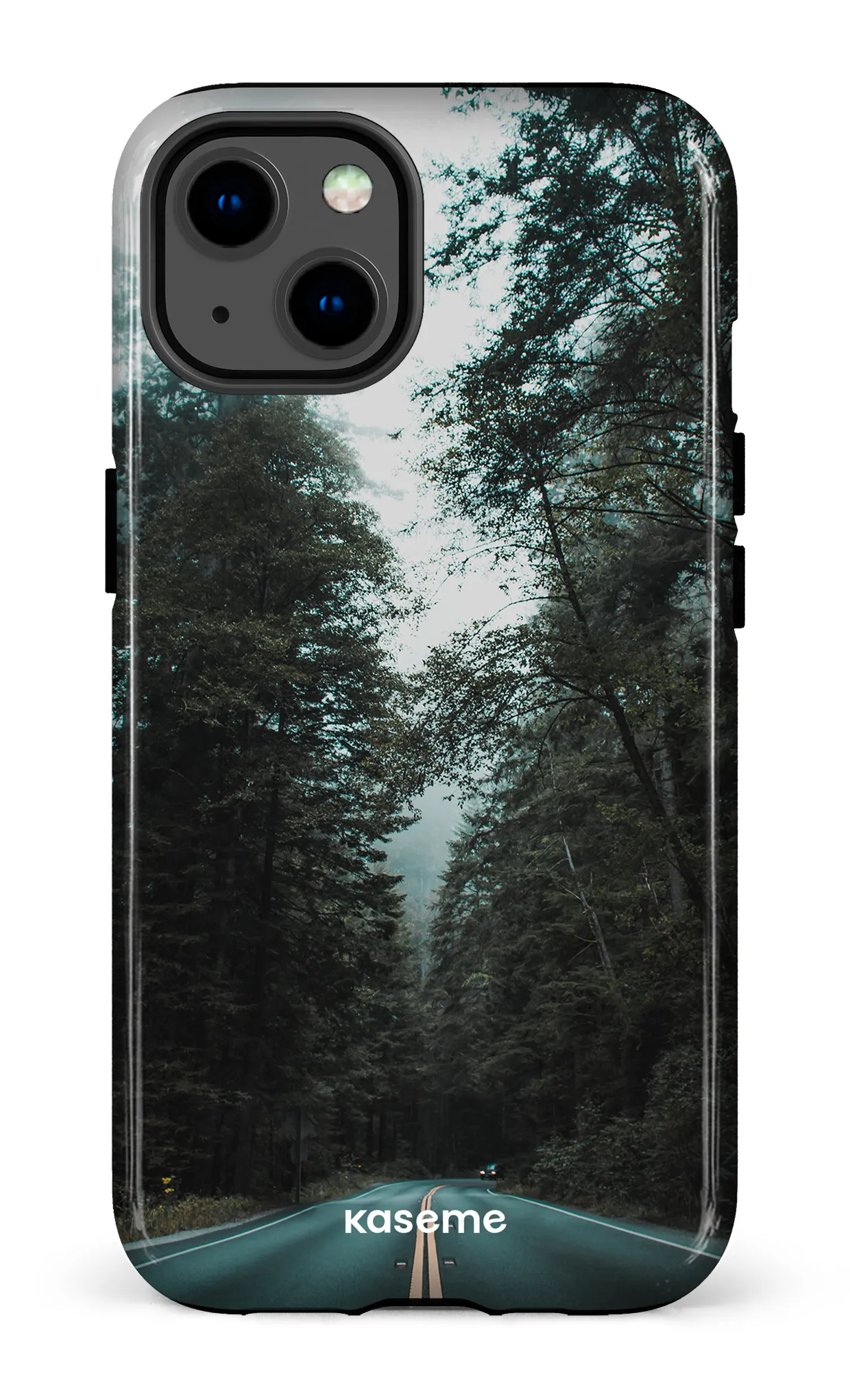 Sequoia
