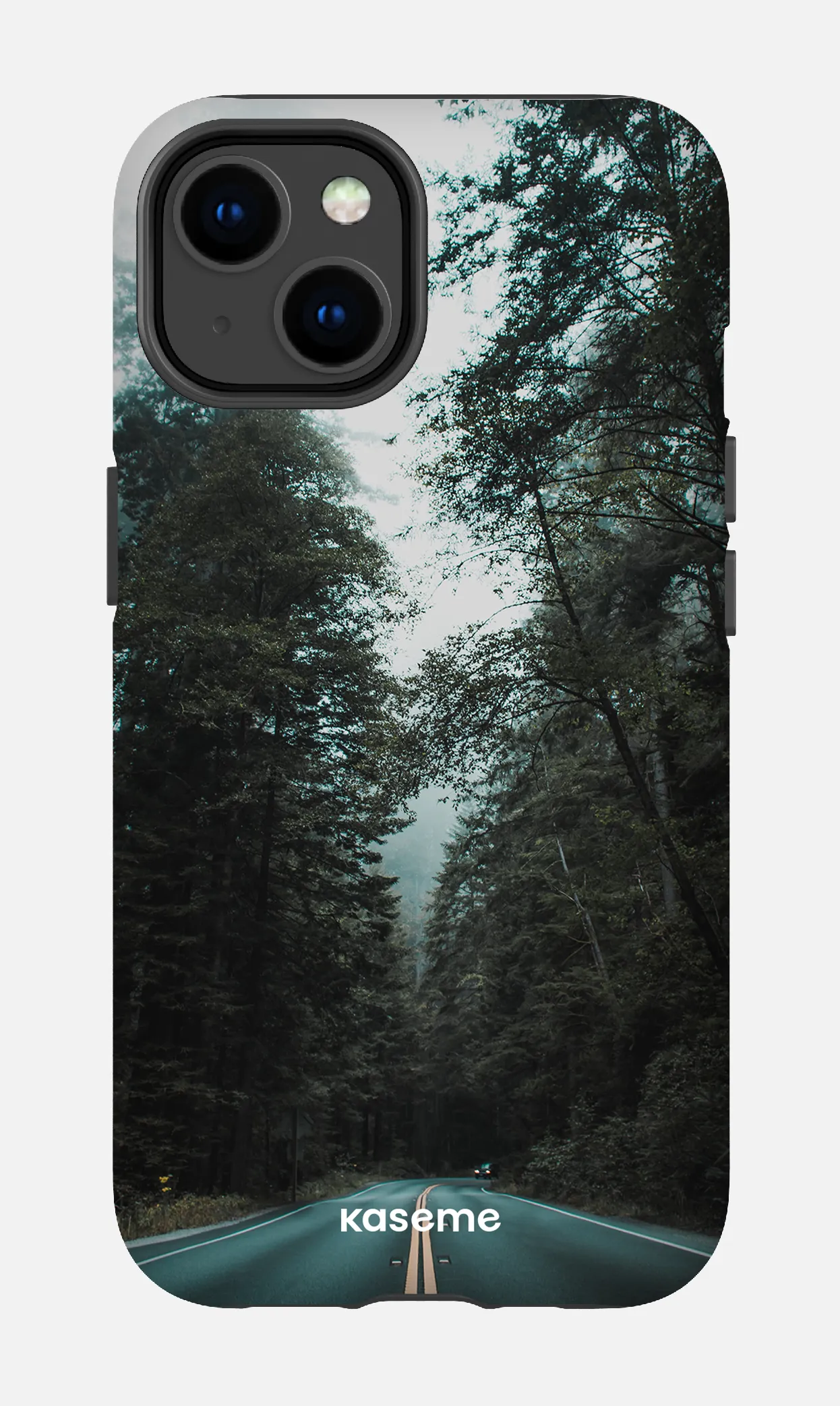 Sequoia