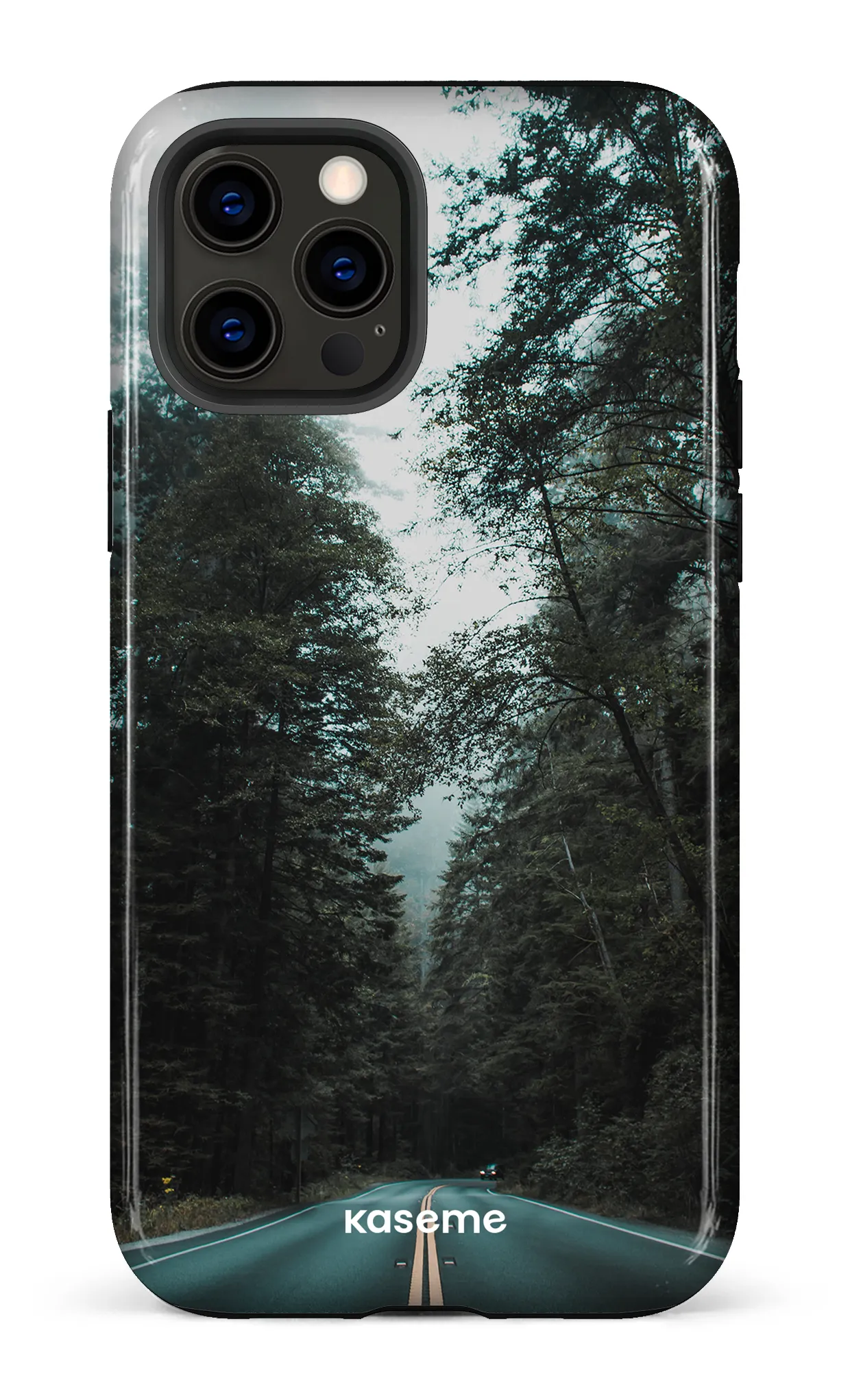 Sequoia