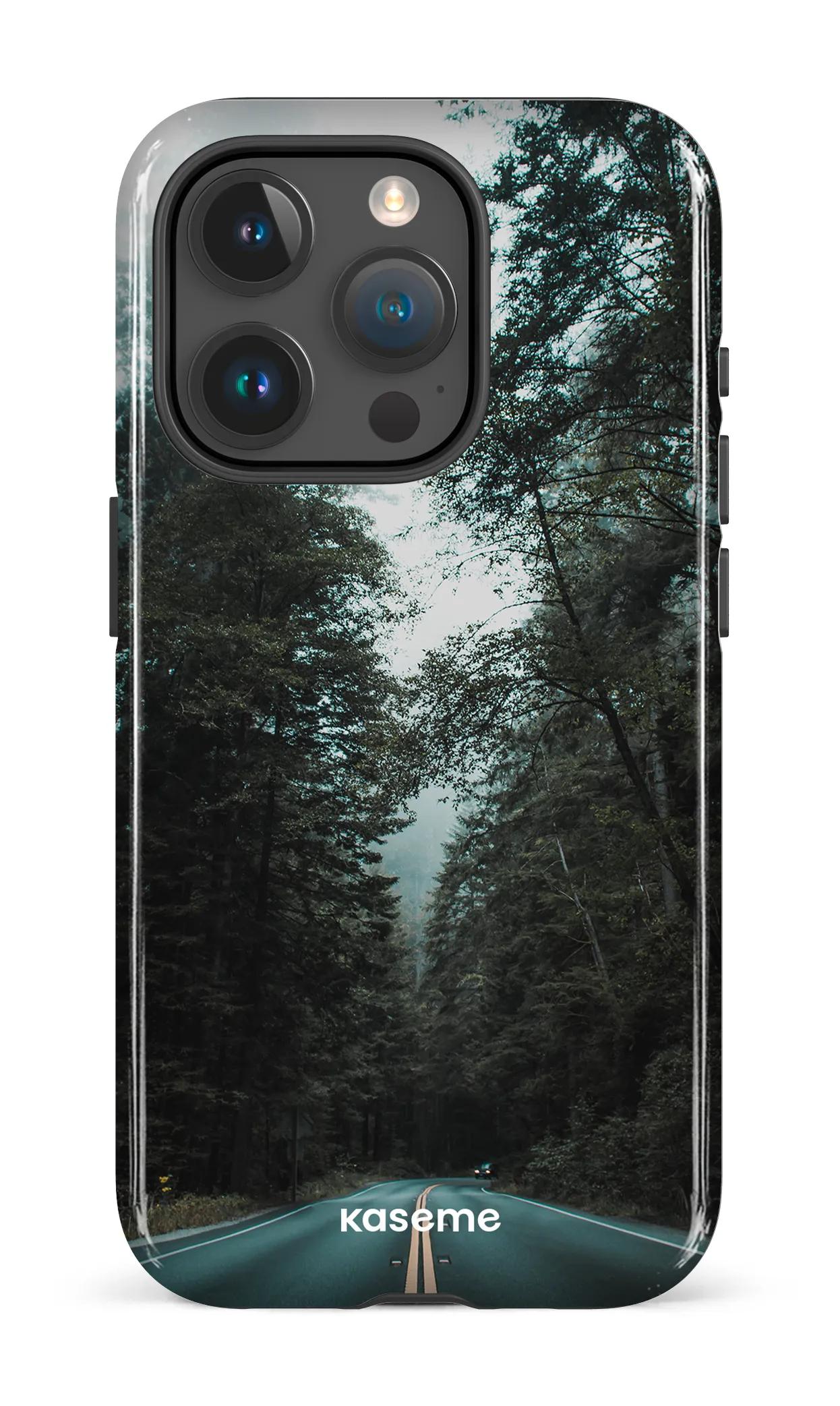 Sequoia