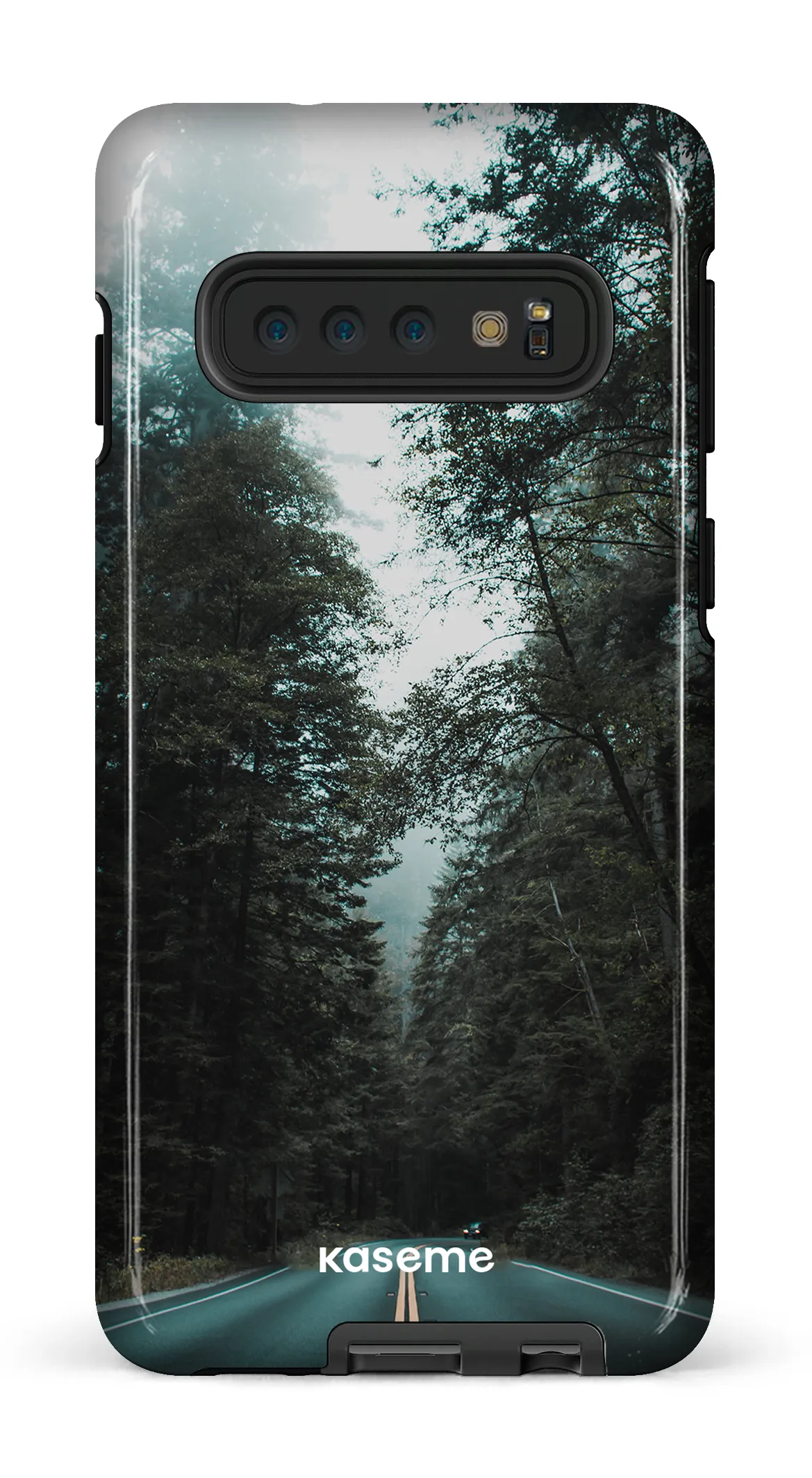 Sequoia