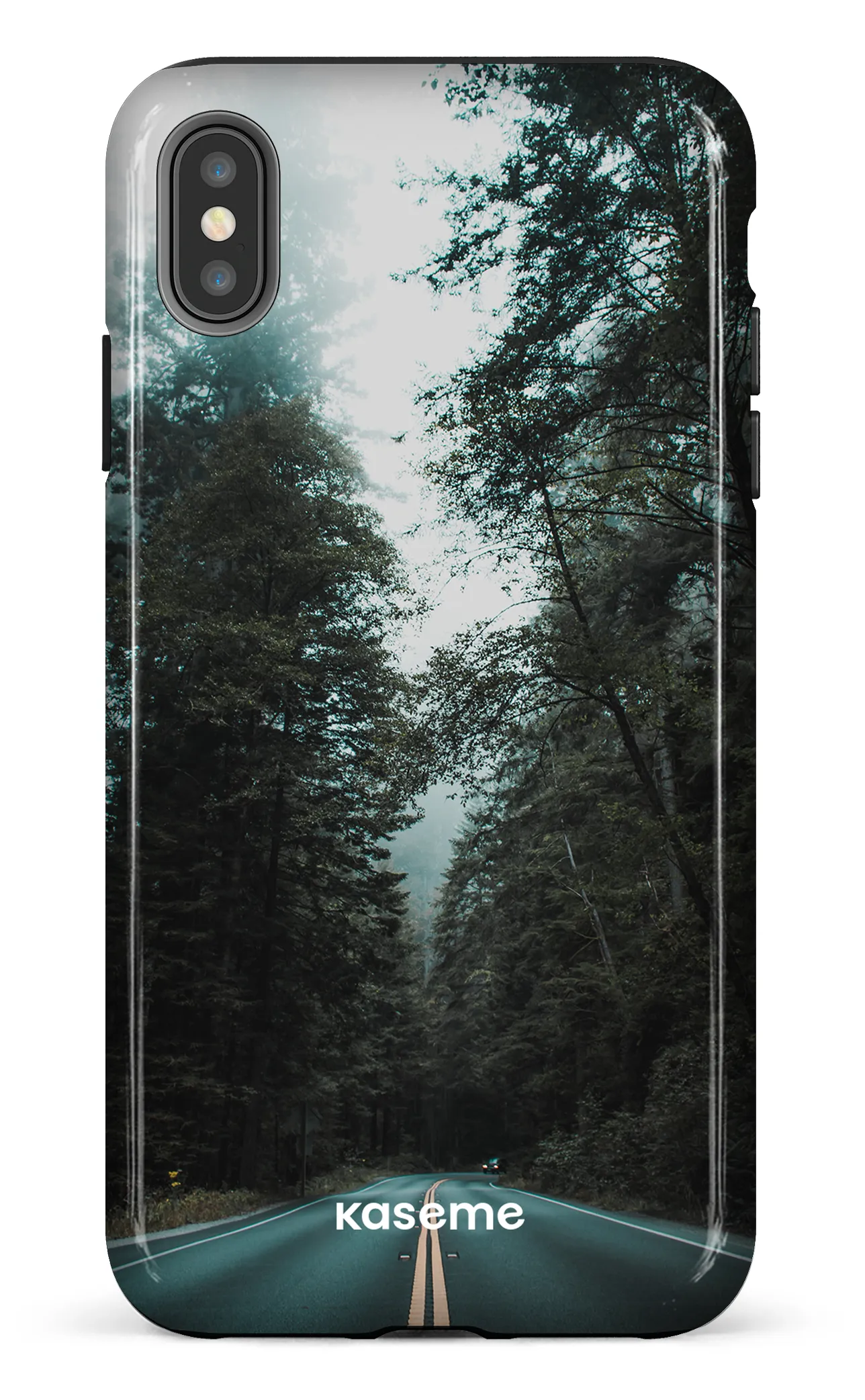 Sequoia