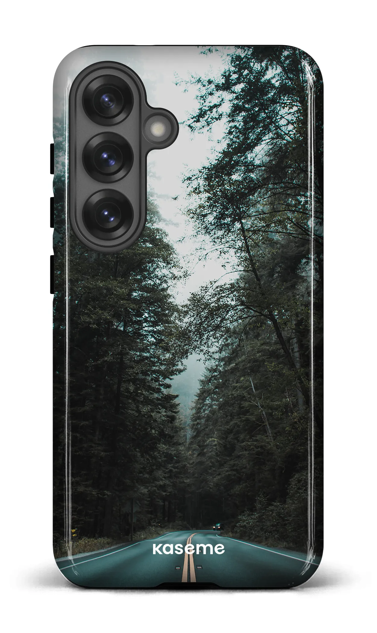 Sequoia