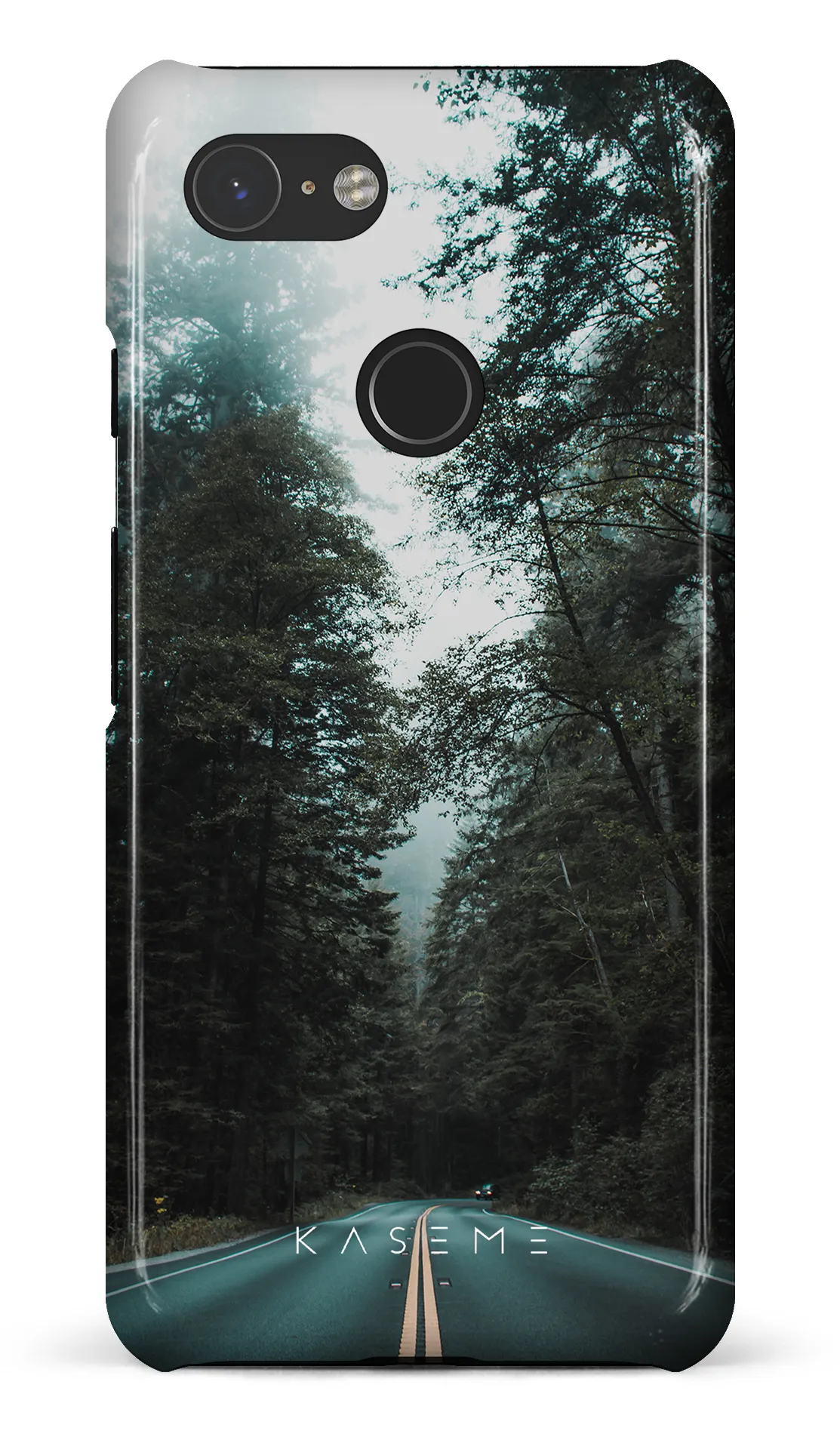 Sequoia