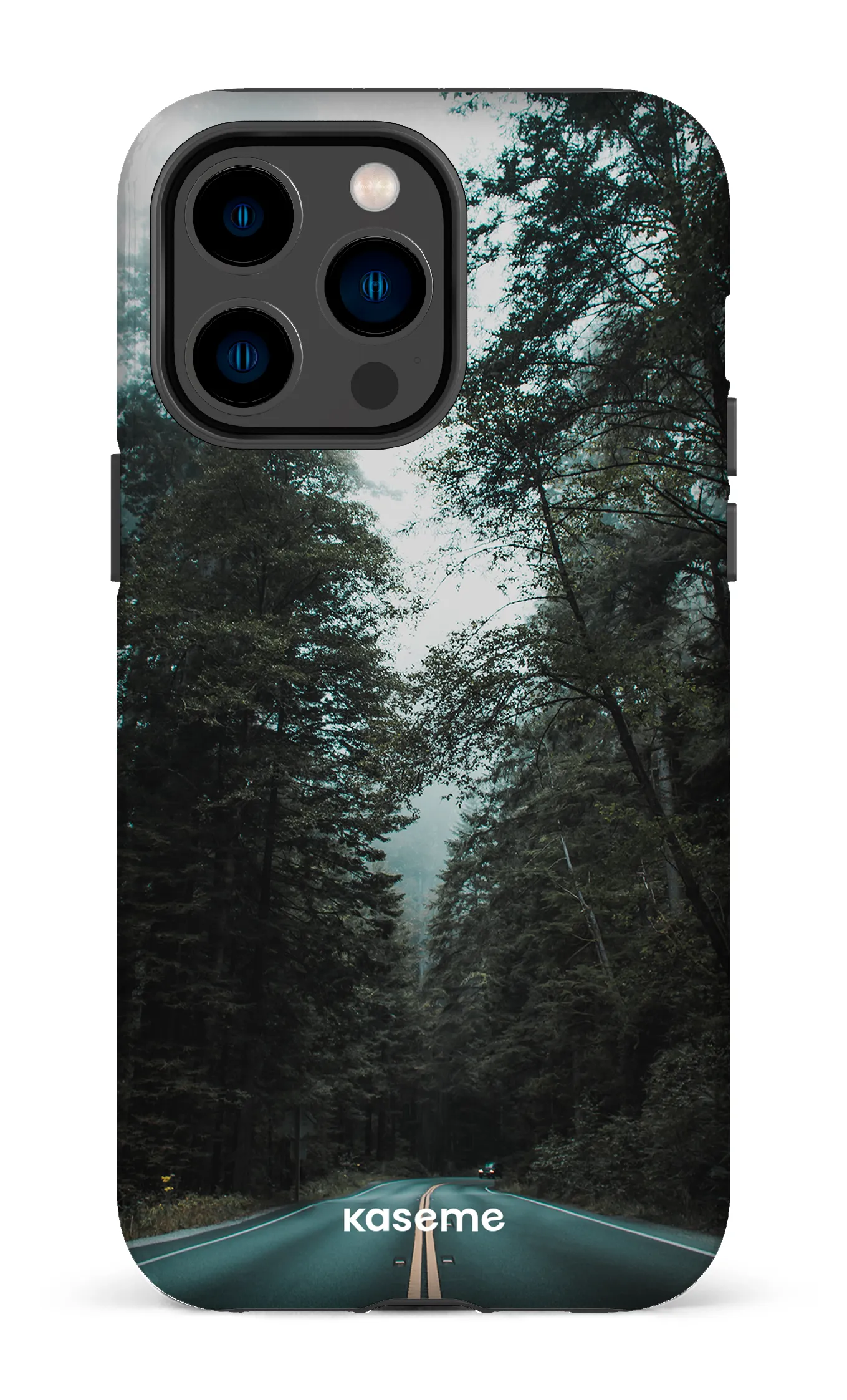 Sequoia