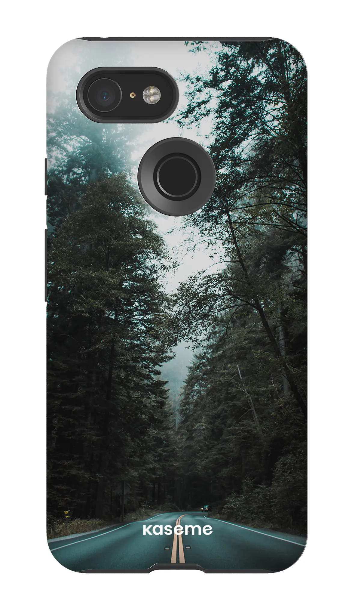 Sequoia
