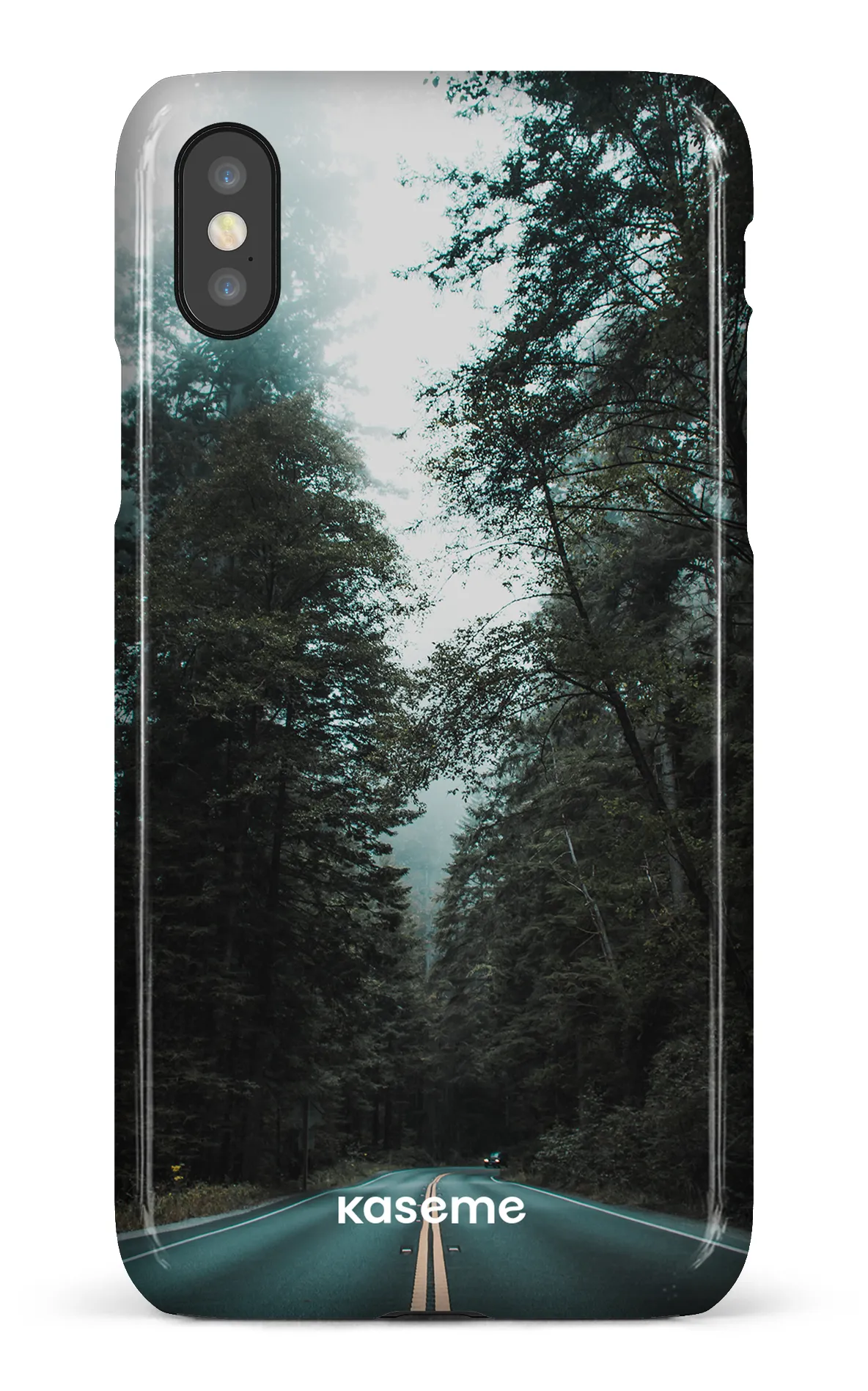 Sequoia