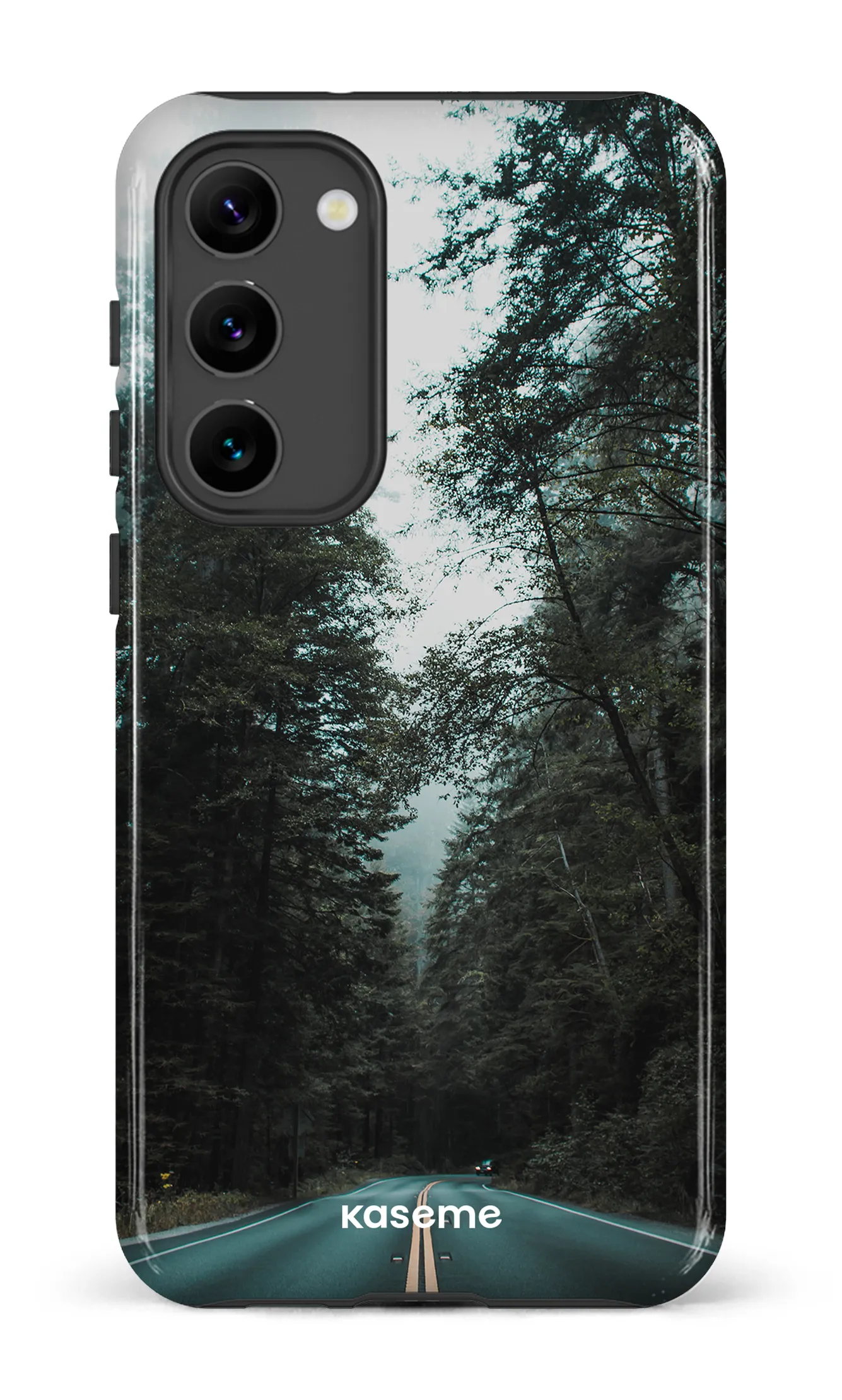 Sequoia