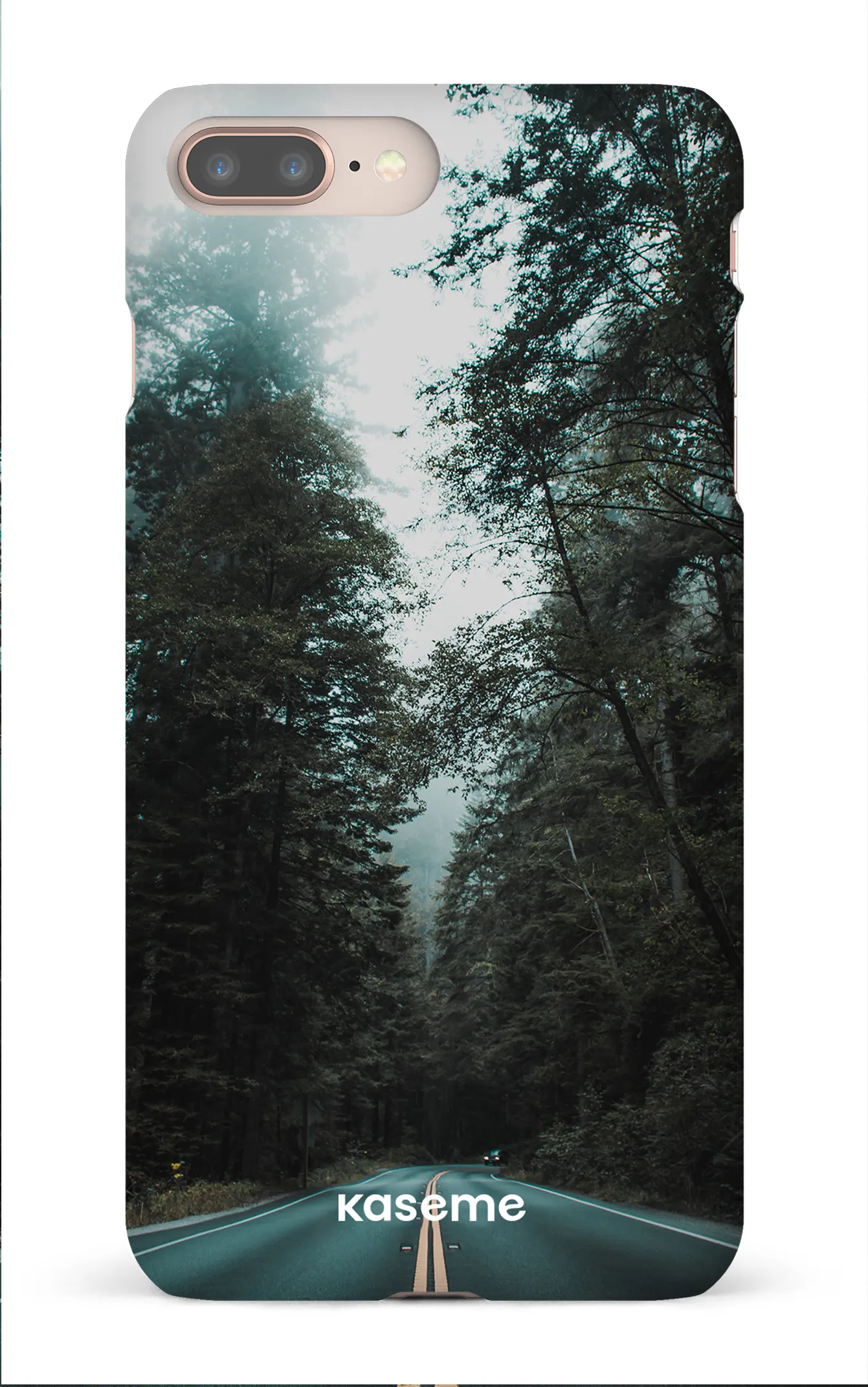 Sequoia
