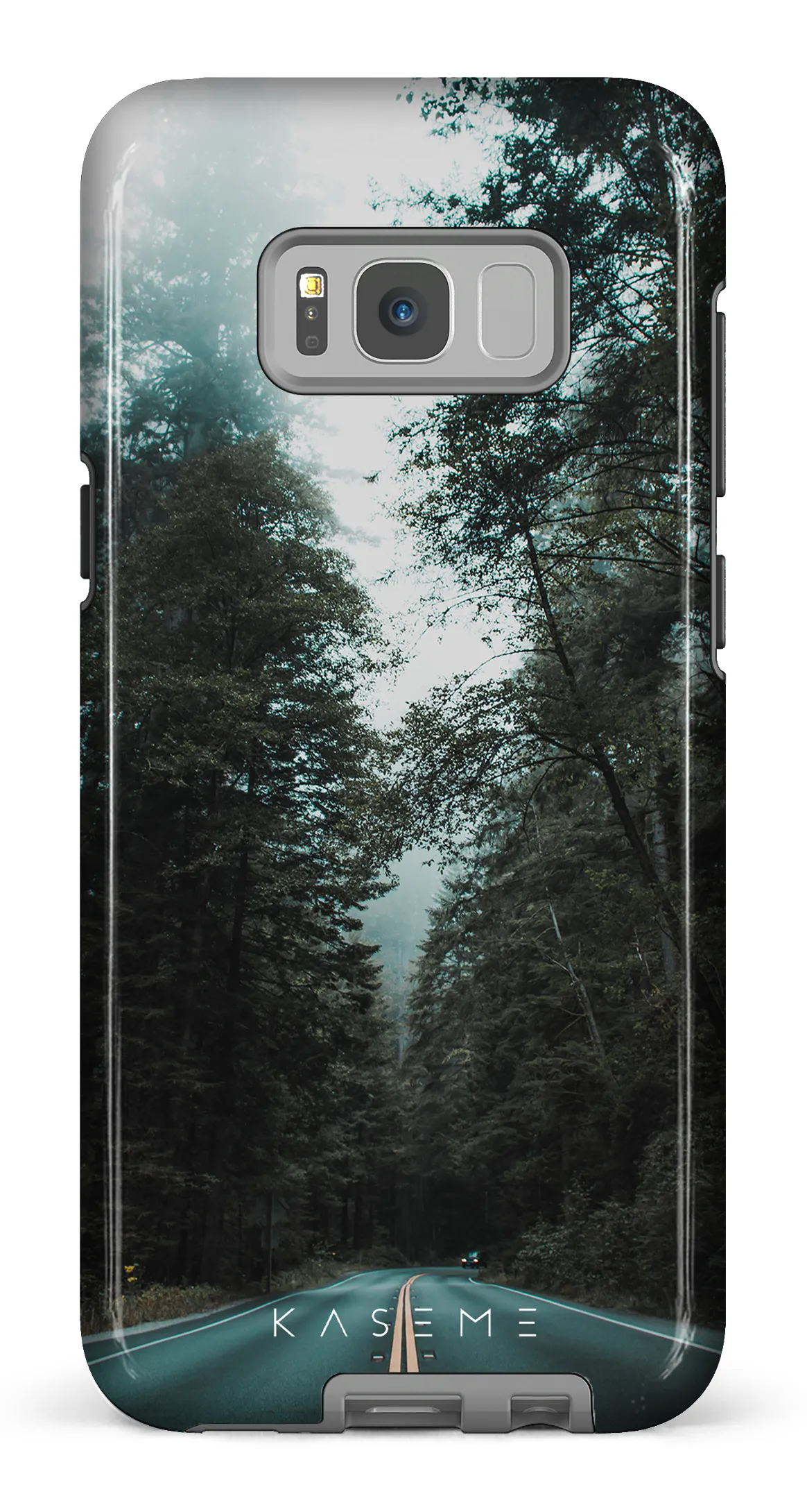 Sequoia