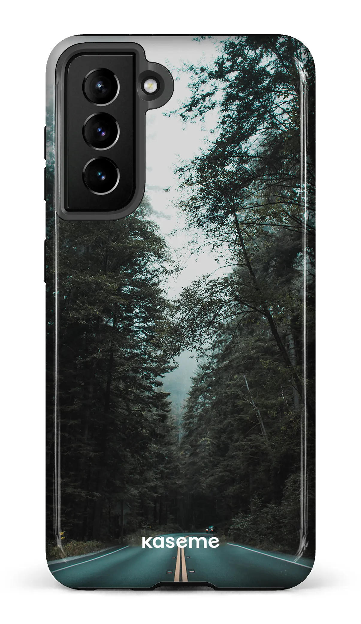 Sequoia