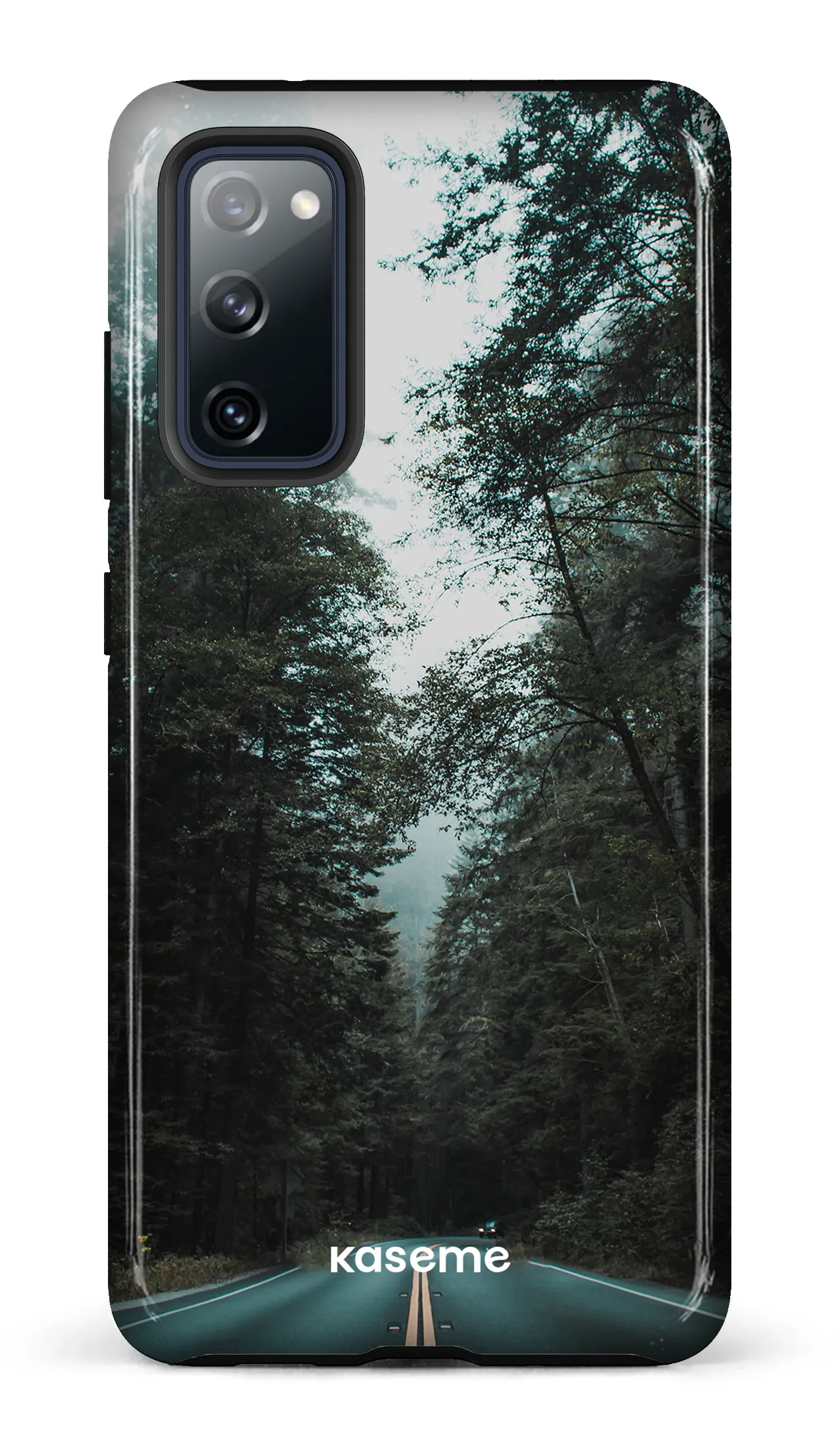 Sequoia