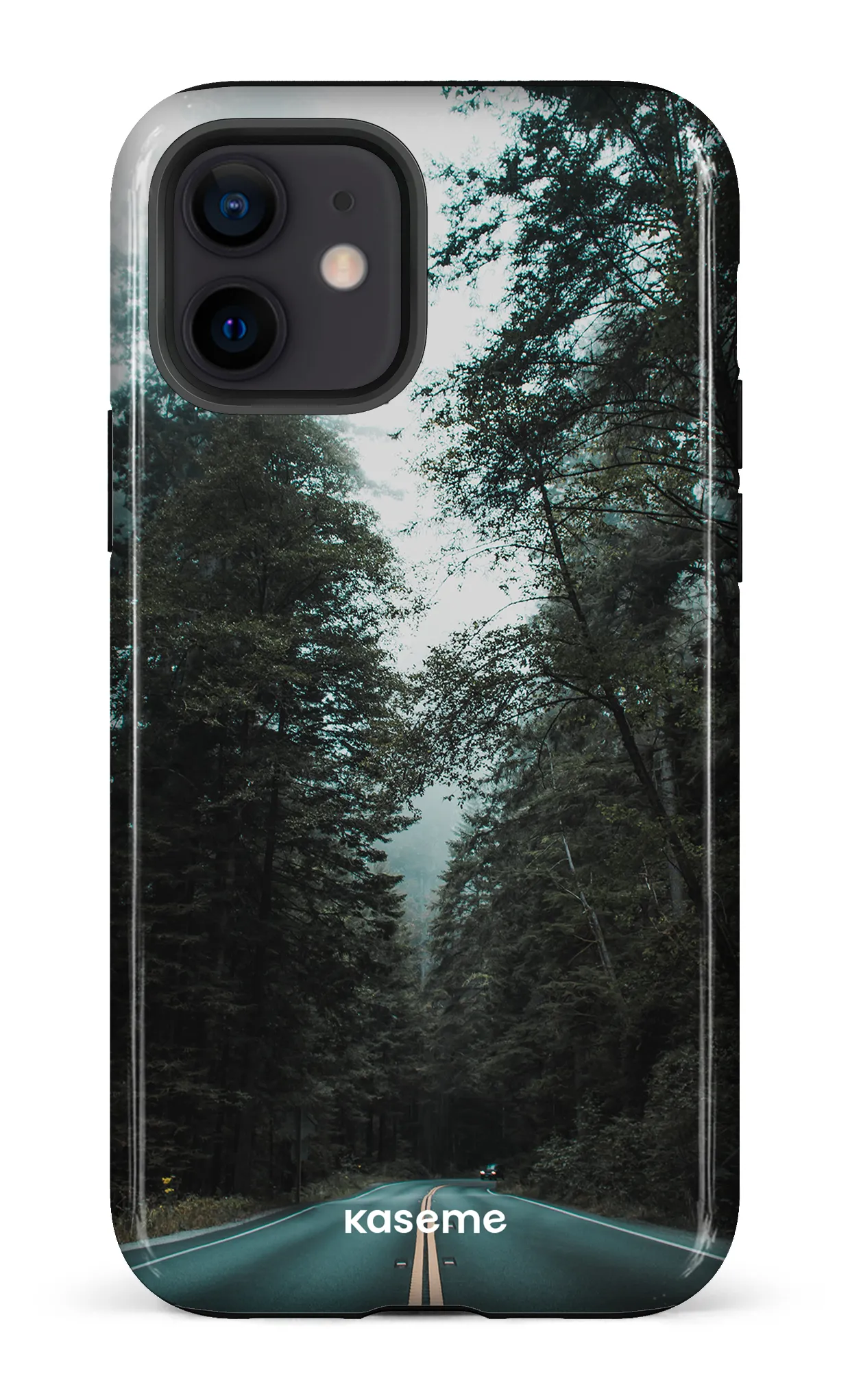 Sequoia