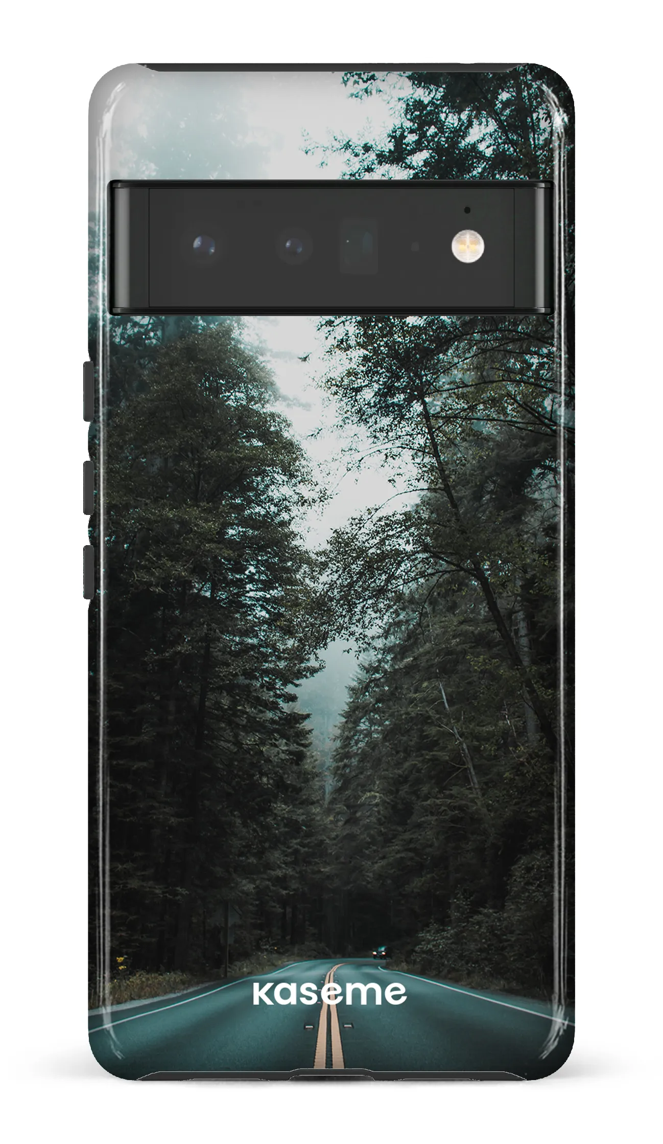 Sequoia
