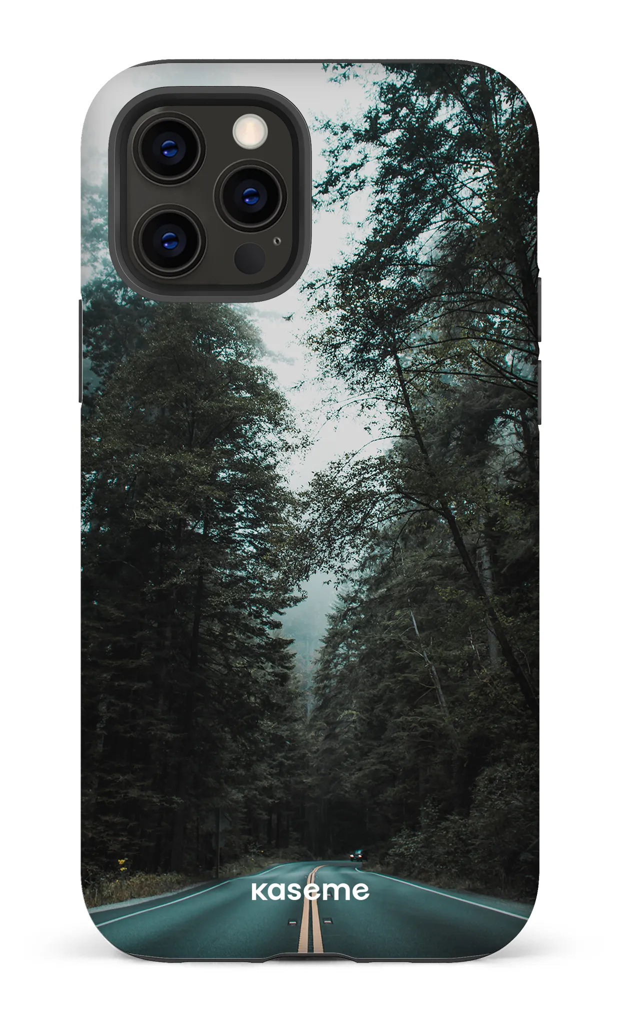 Sequoia