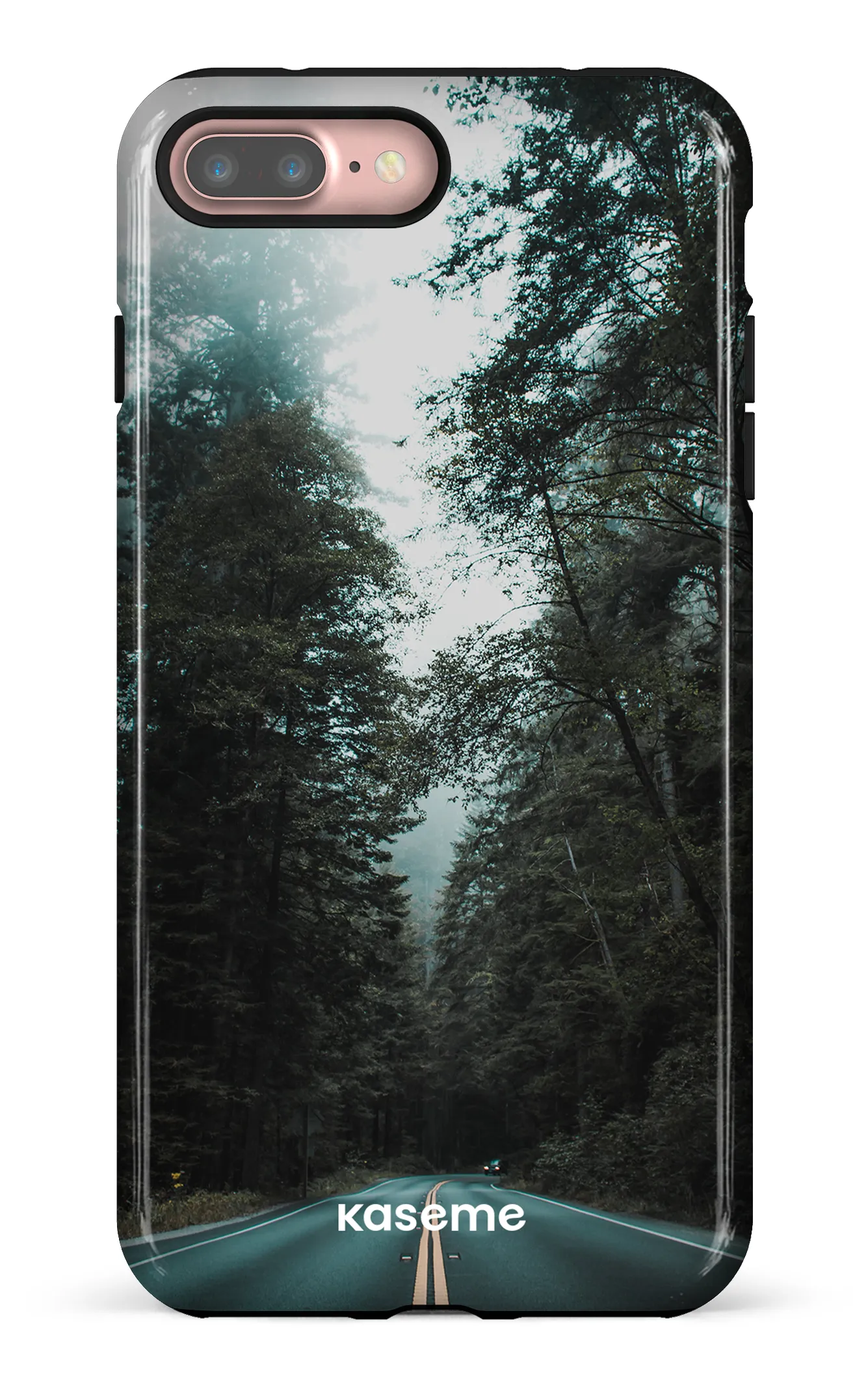 Sequoia