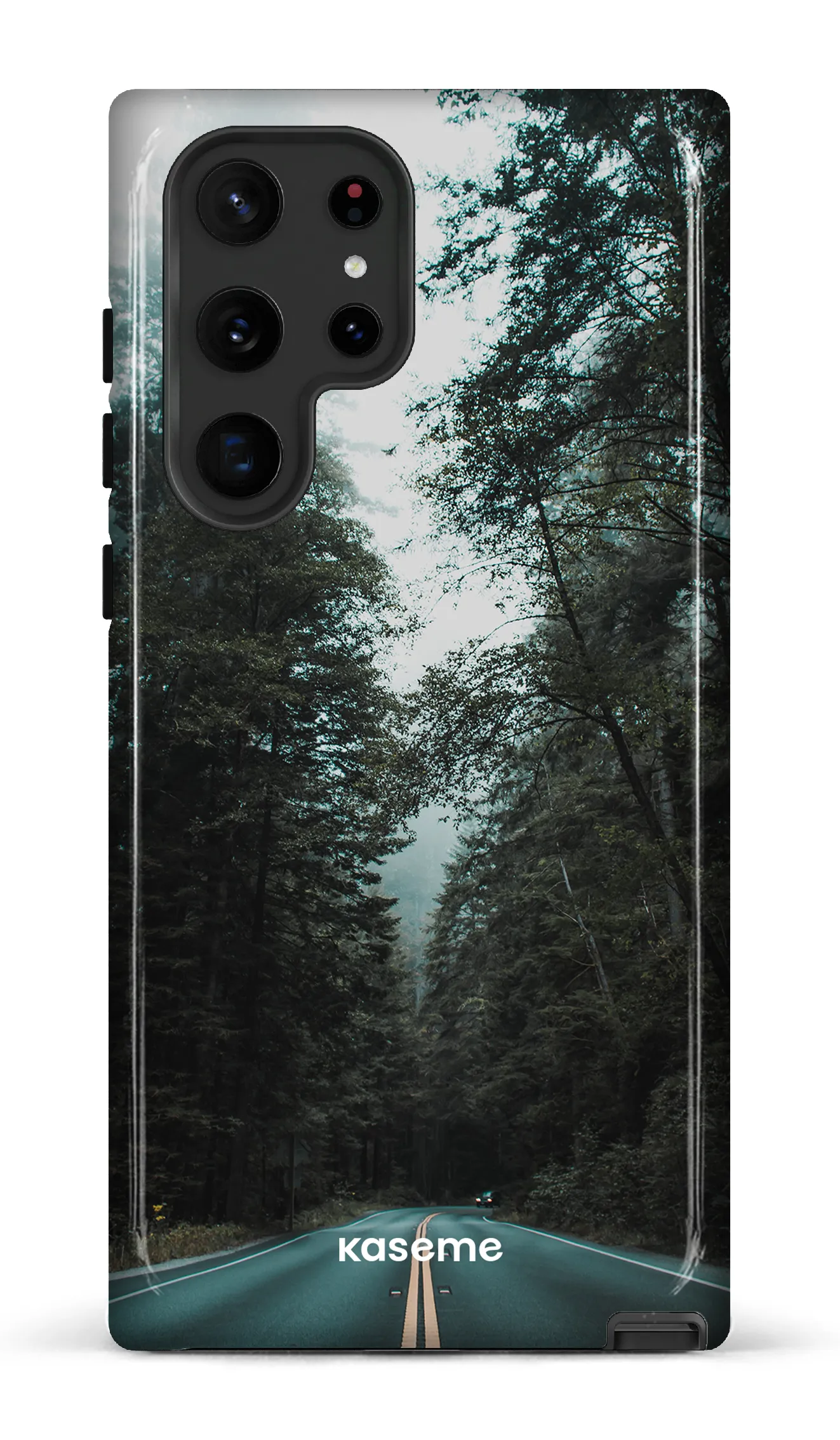 Sequoia