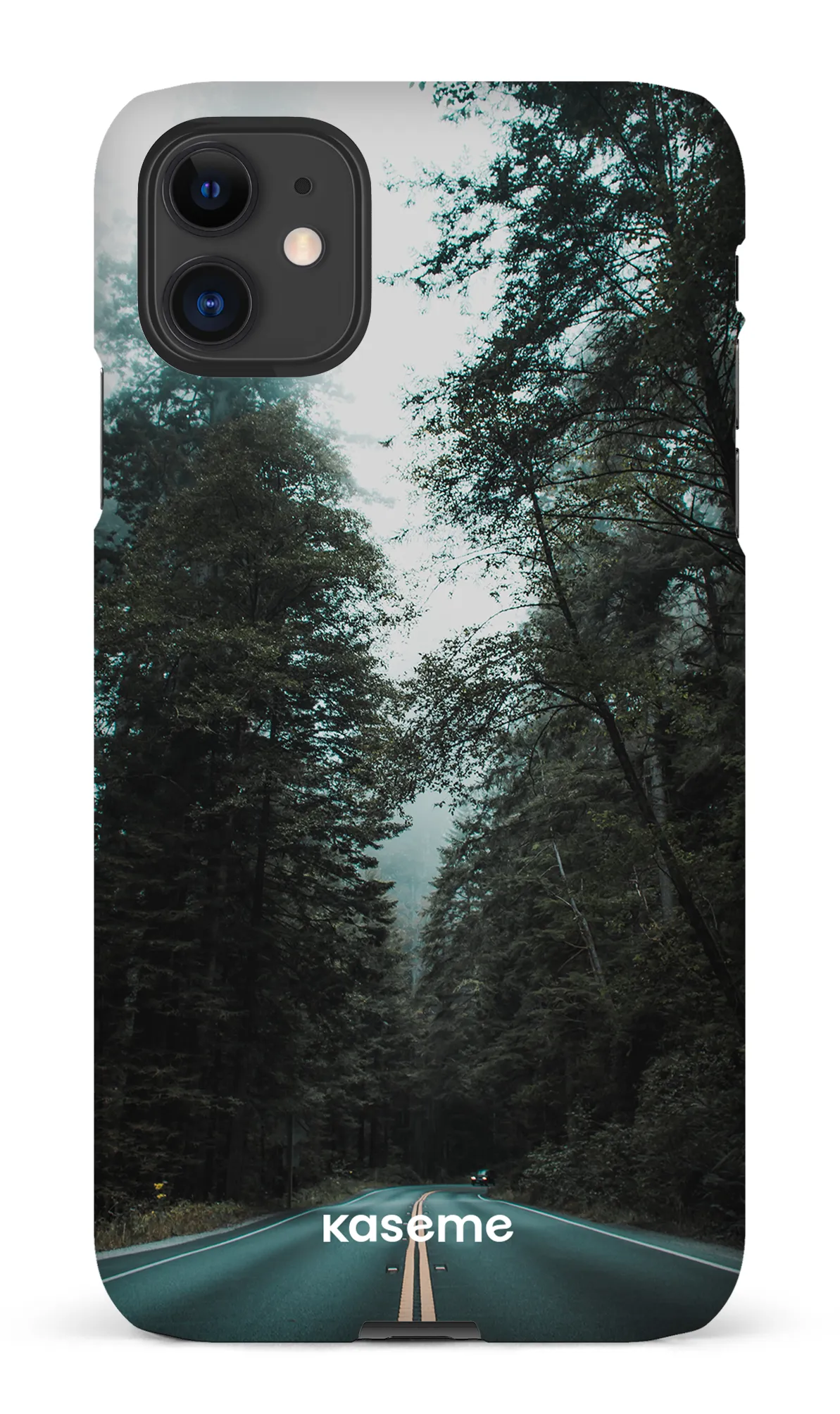 Sequoia