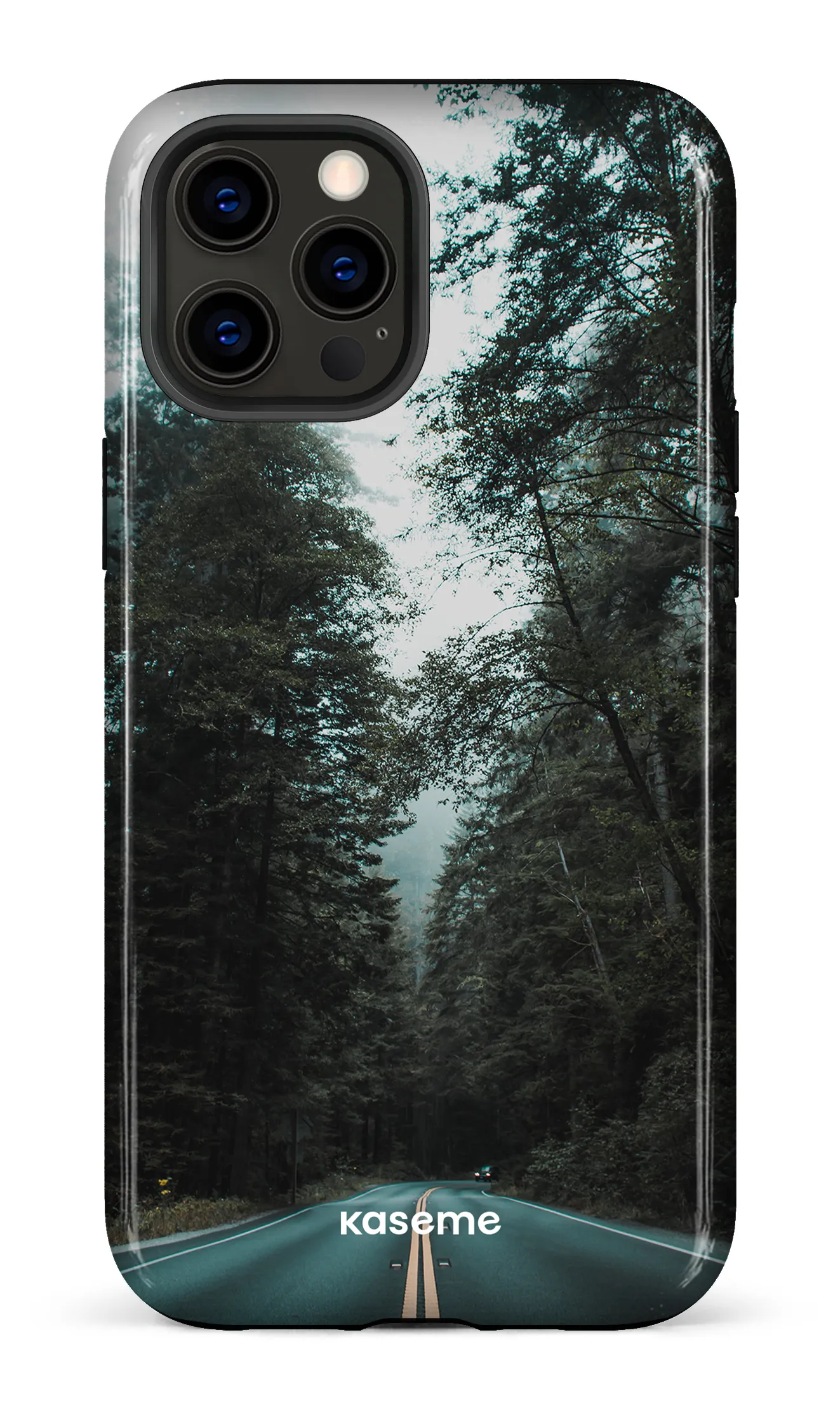 Sequoia