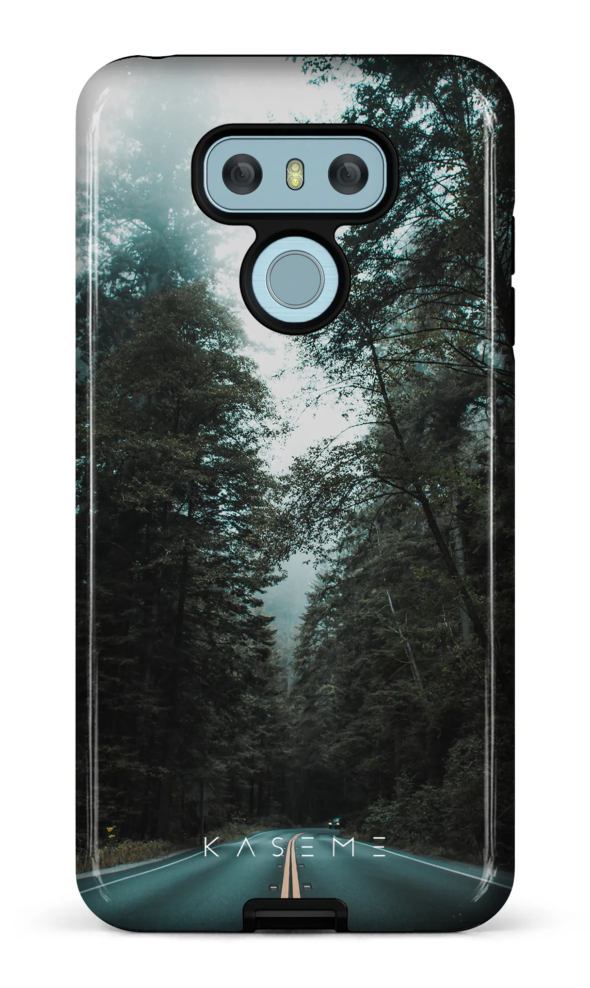 Sequoia