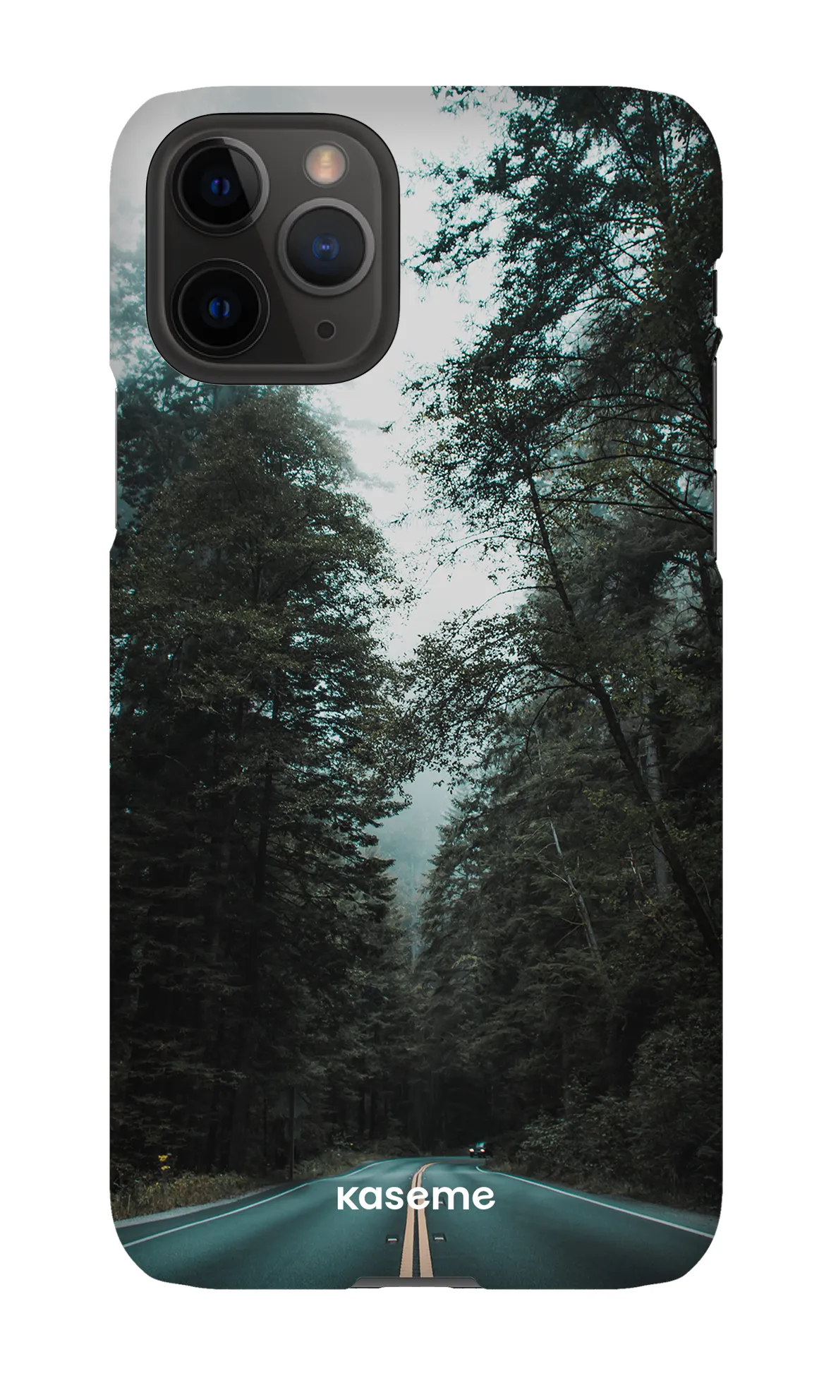 Sequoia