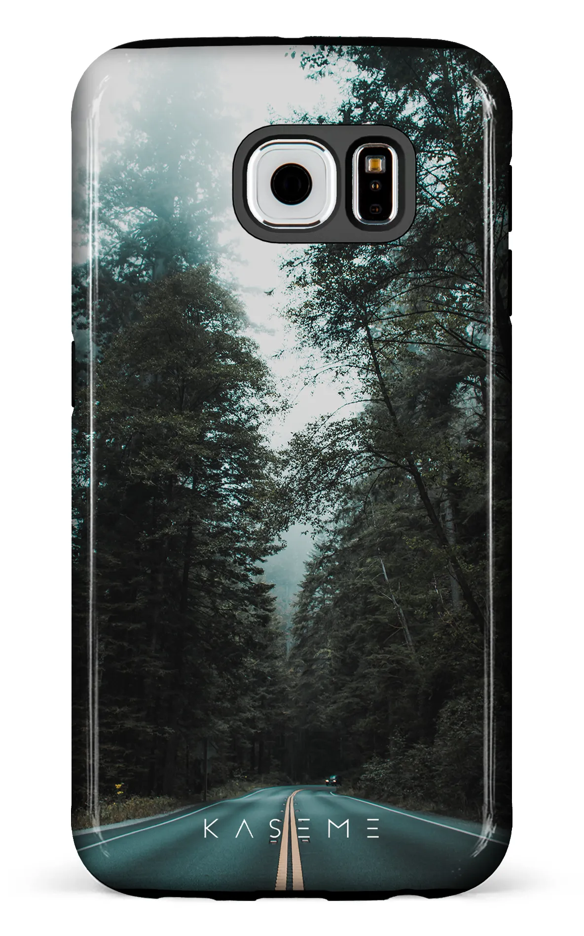 Sequoia