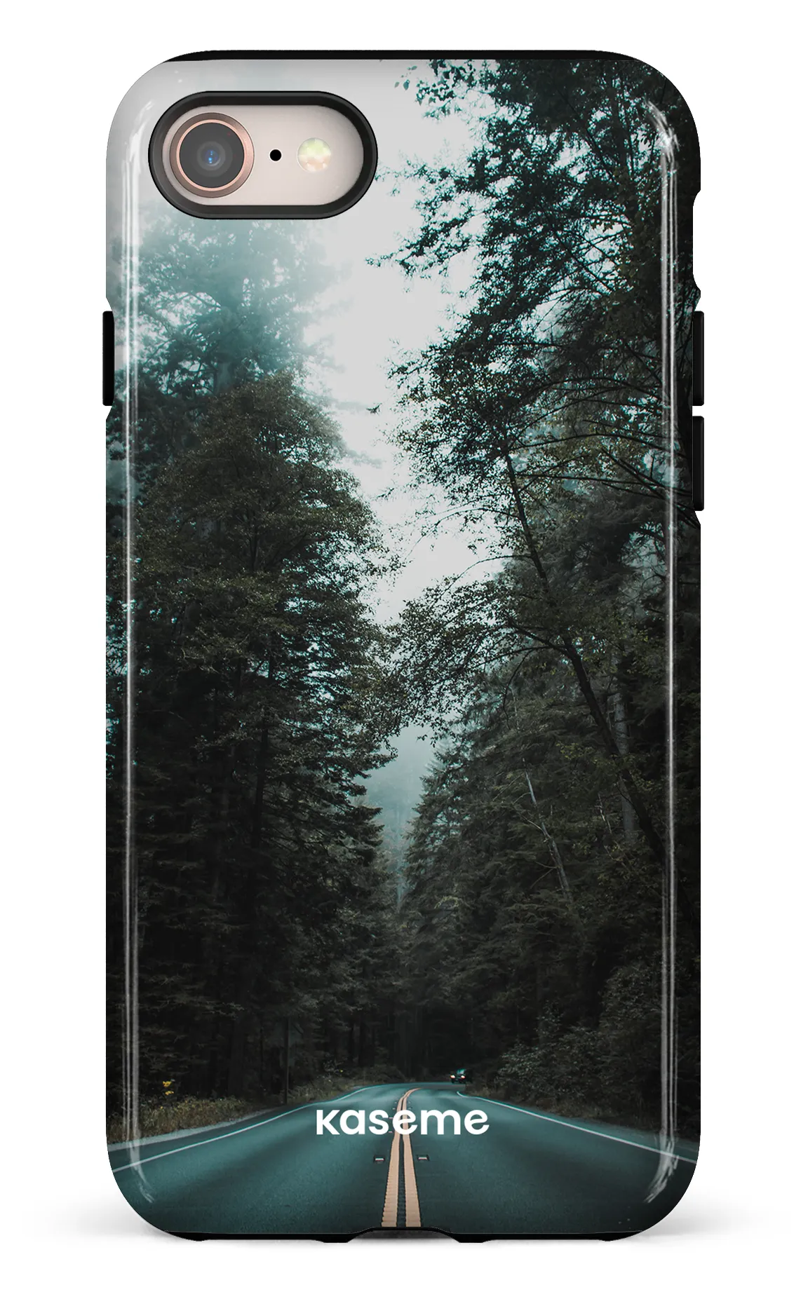 Sequoia