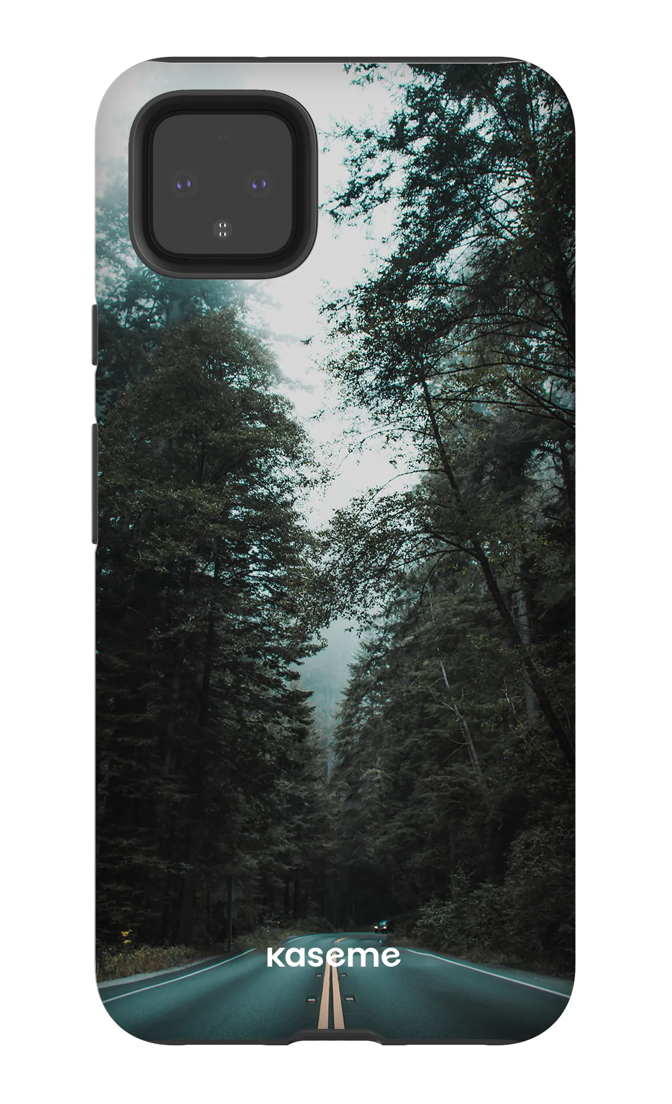Sequoia