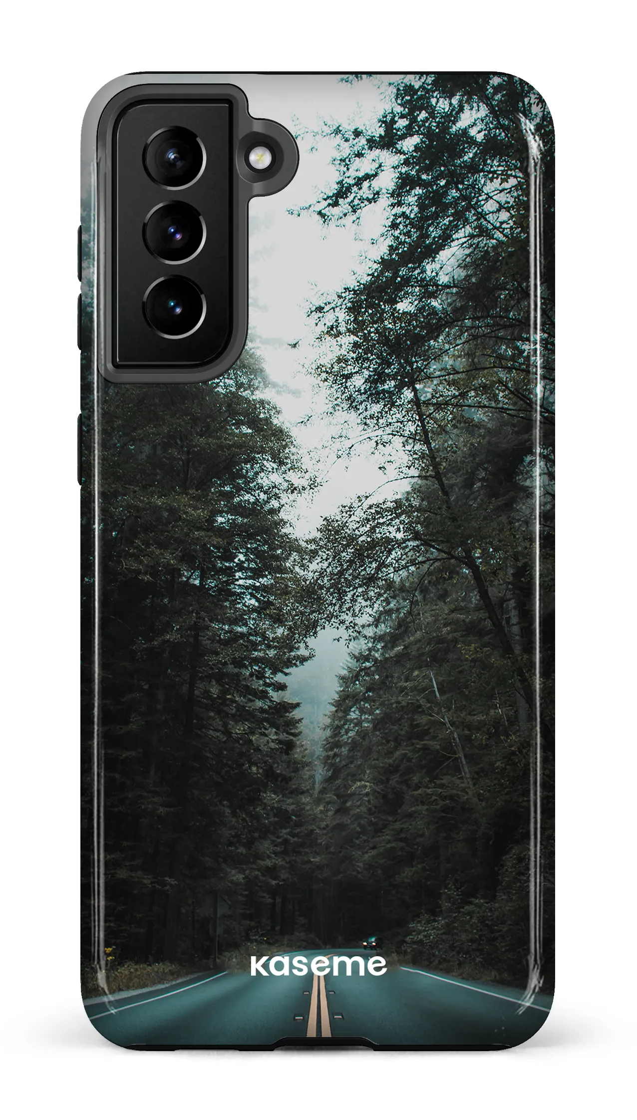 Sequoia