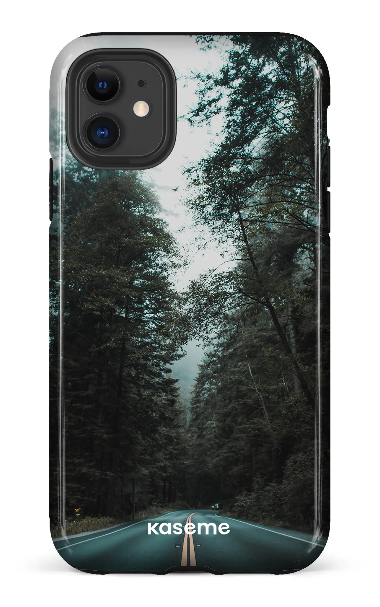 Sequoia