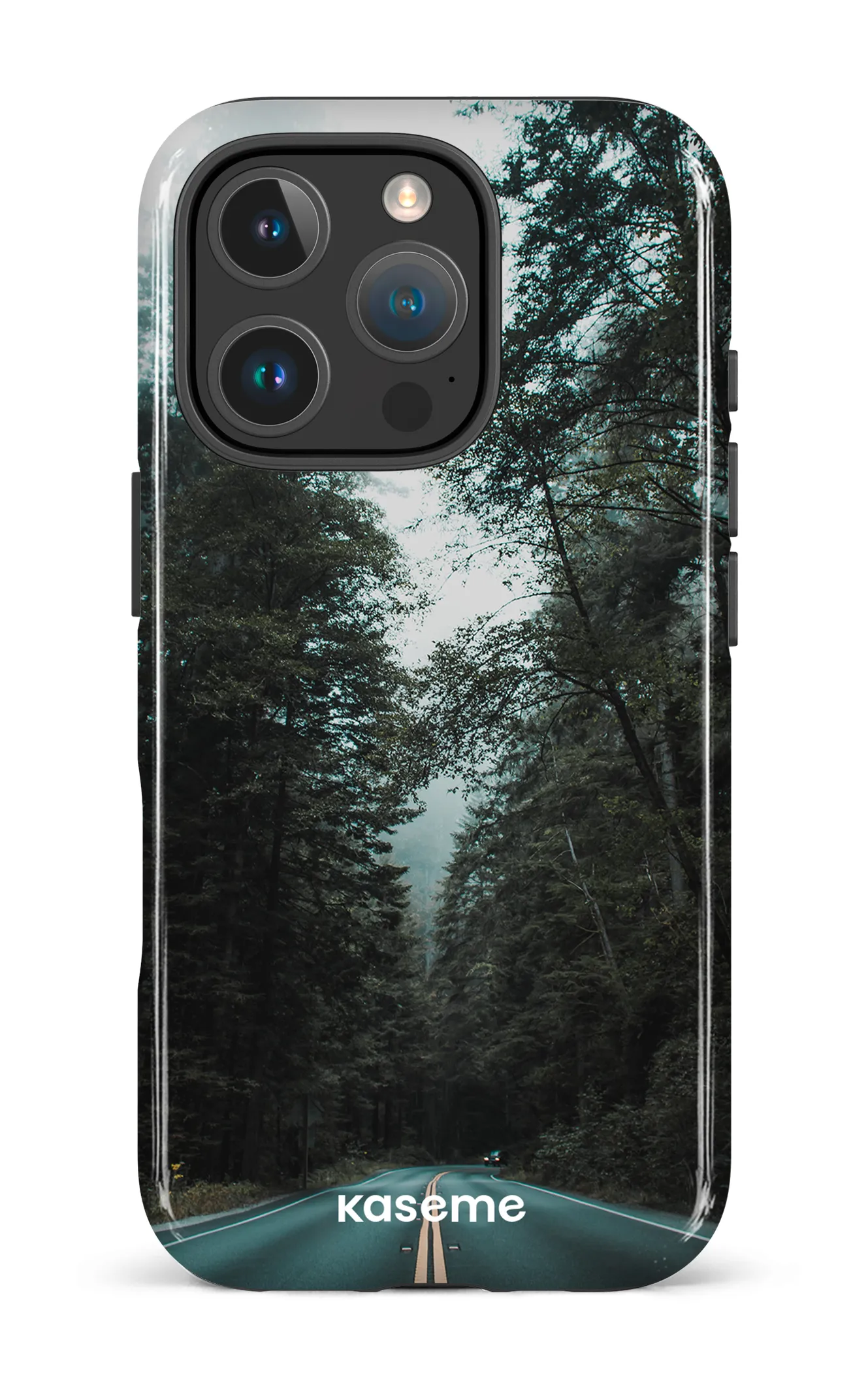 Sequoia