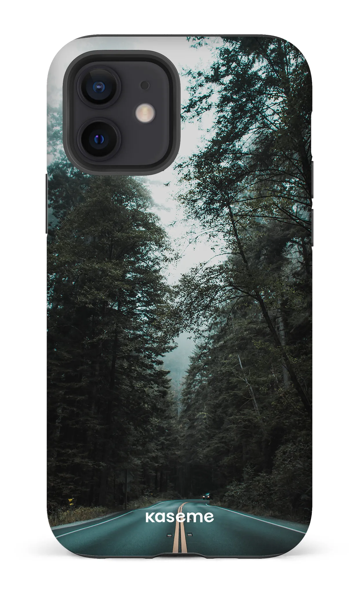 Sequoia