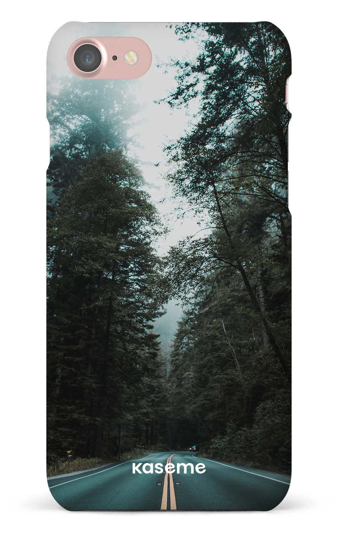 Sequoia