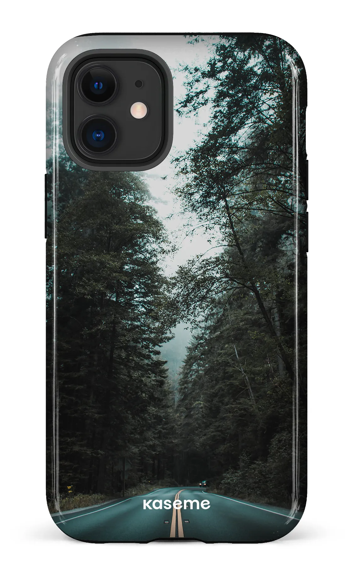 Sequoia