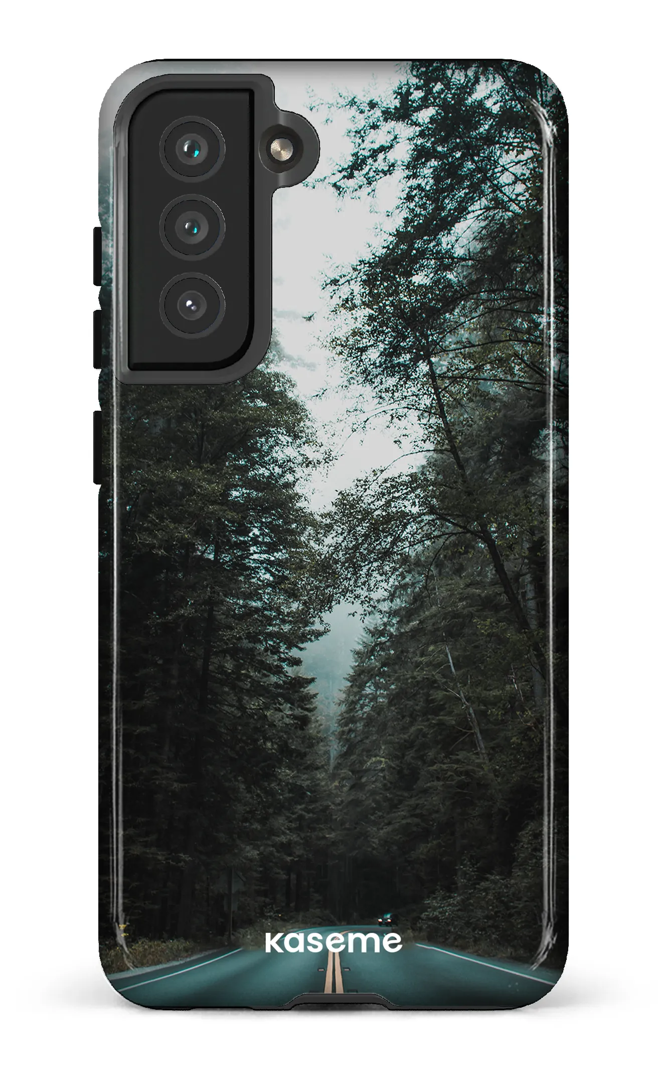 Sequoia