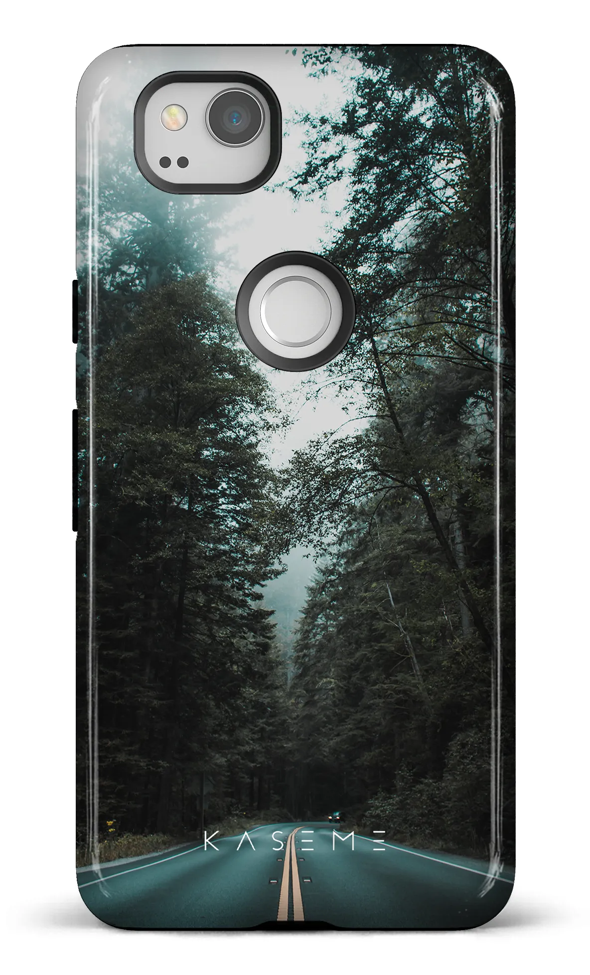 Sequoia