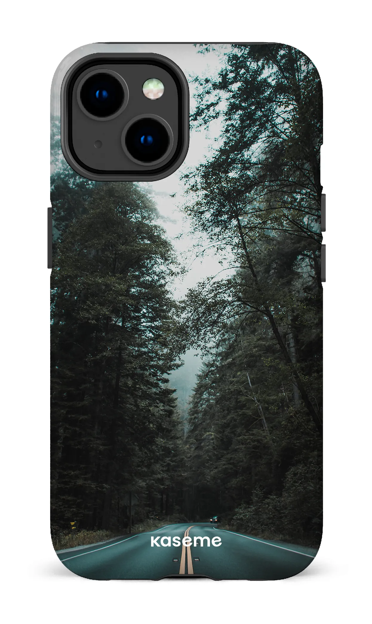 Sequoia